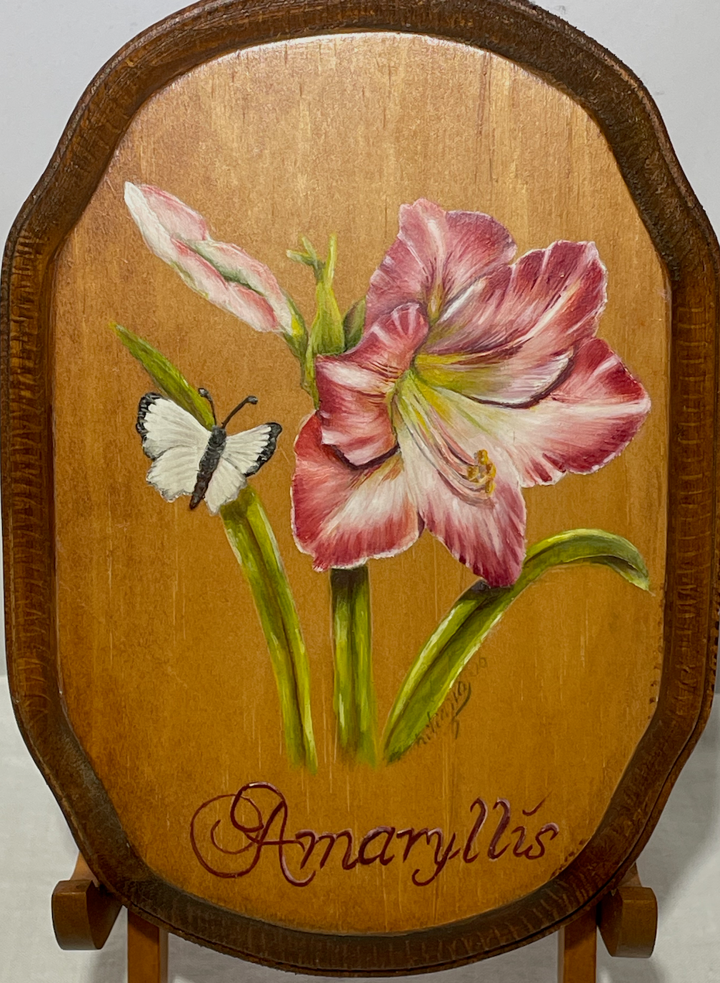 Amaryllis