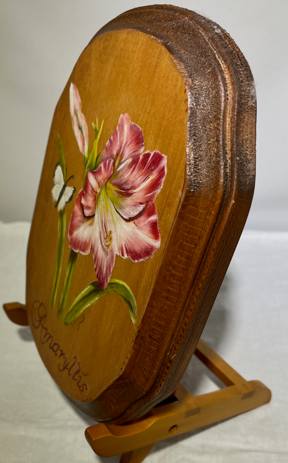 Amaryllis