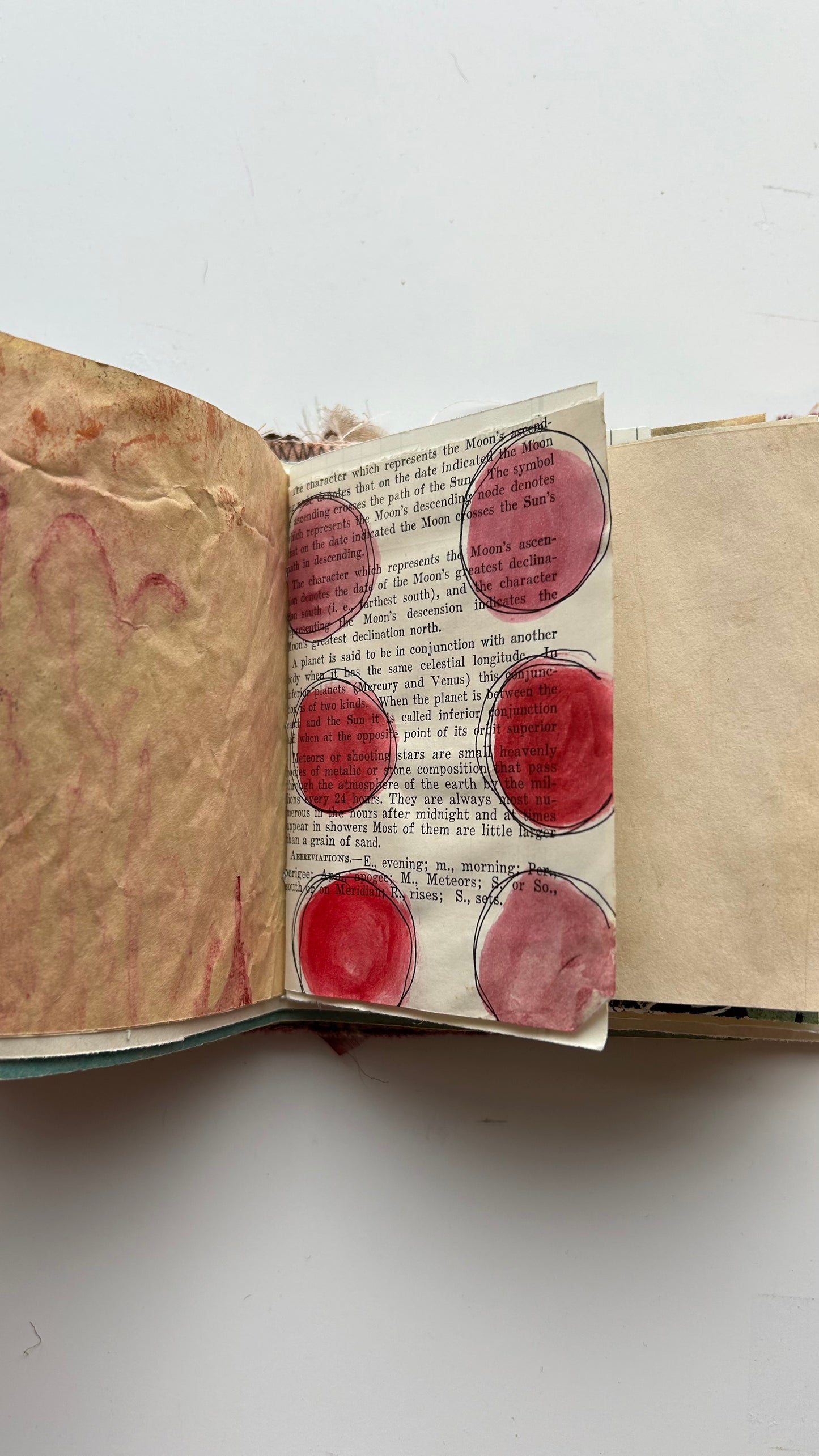 June Birthday Journal