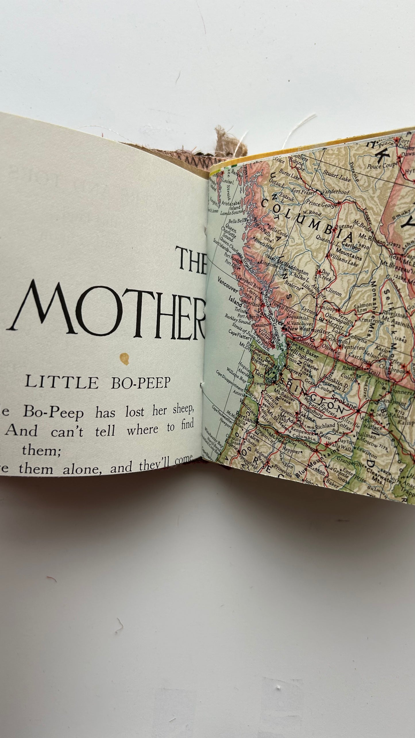 June Birthday Journal