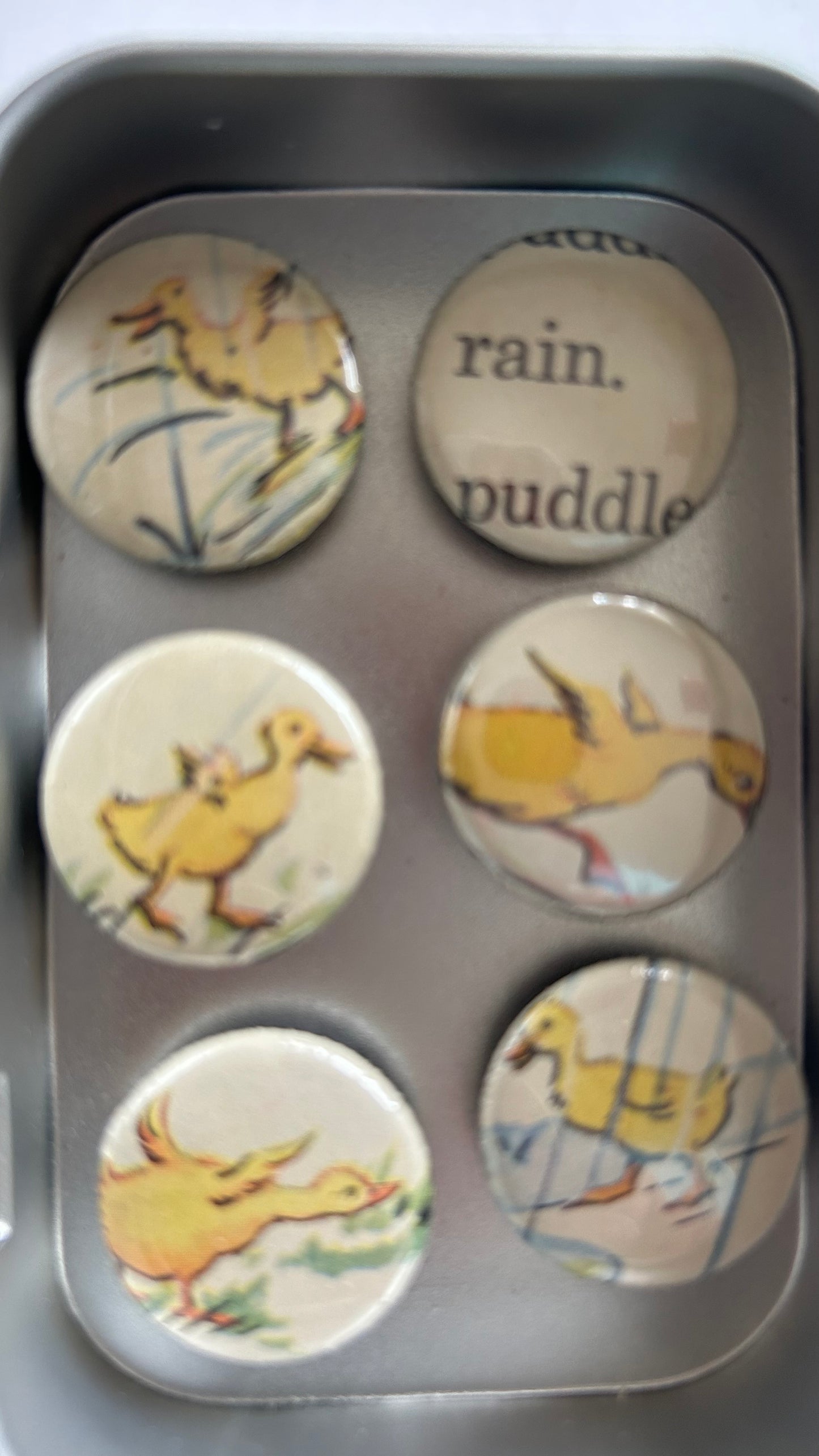 Vintage Magnet Set- Ducks