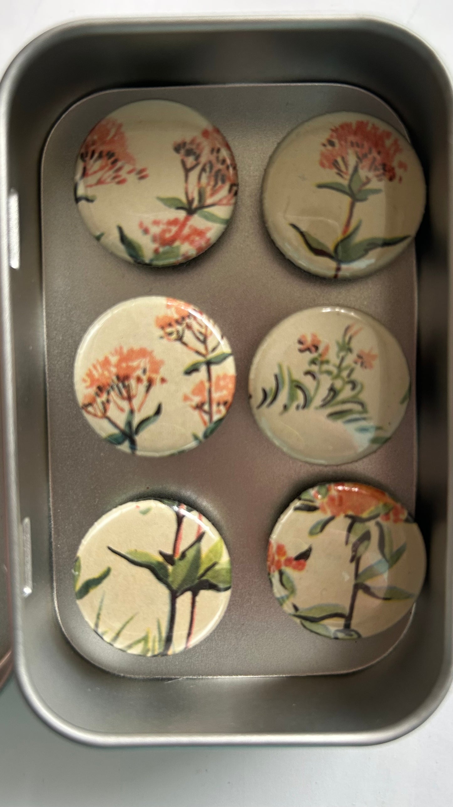 Vintage Magnets- Pink Botanicals