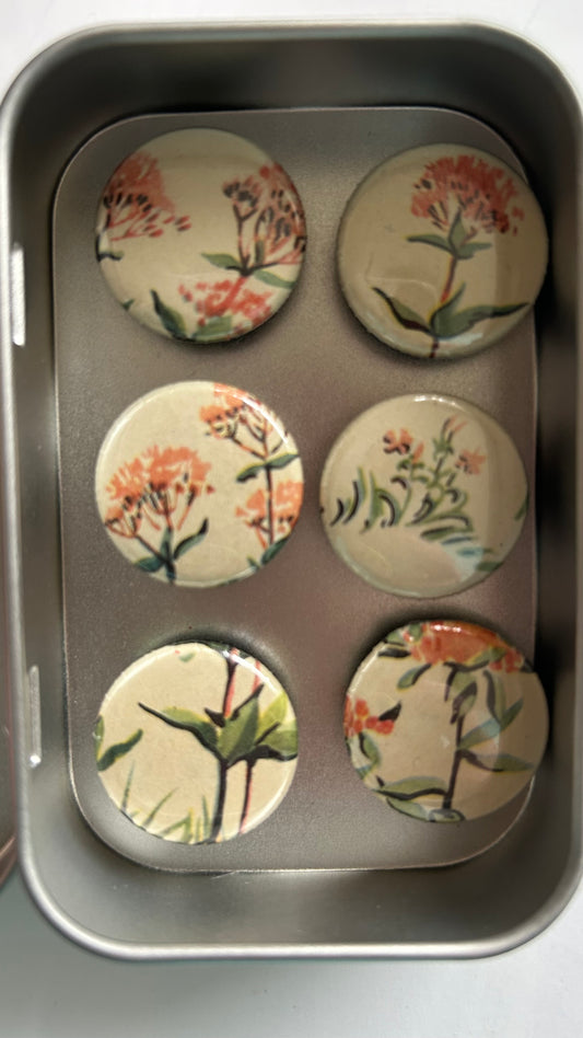Vintage Magnets- Pink Botanicals