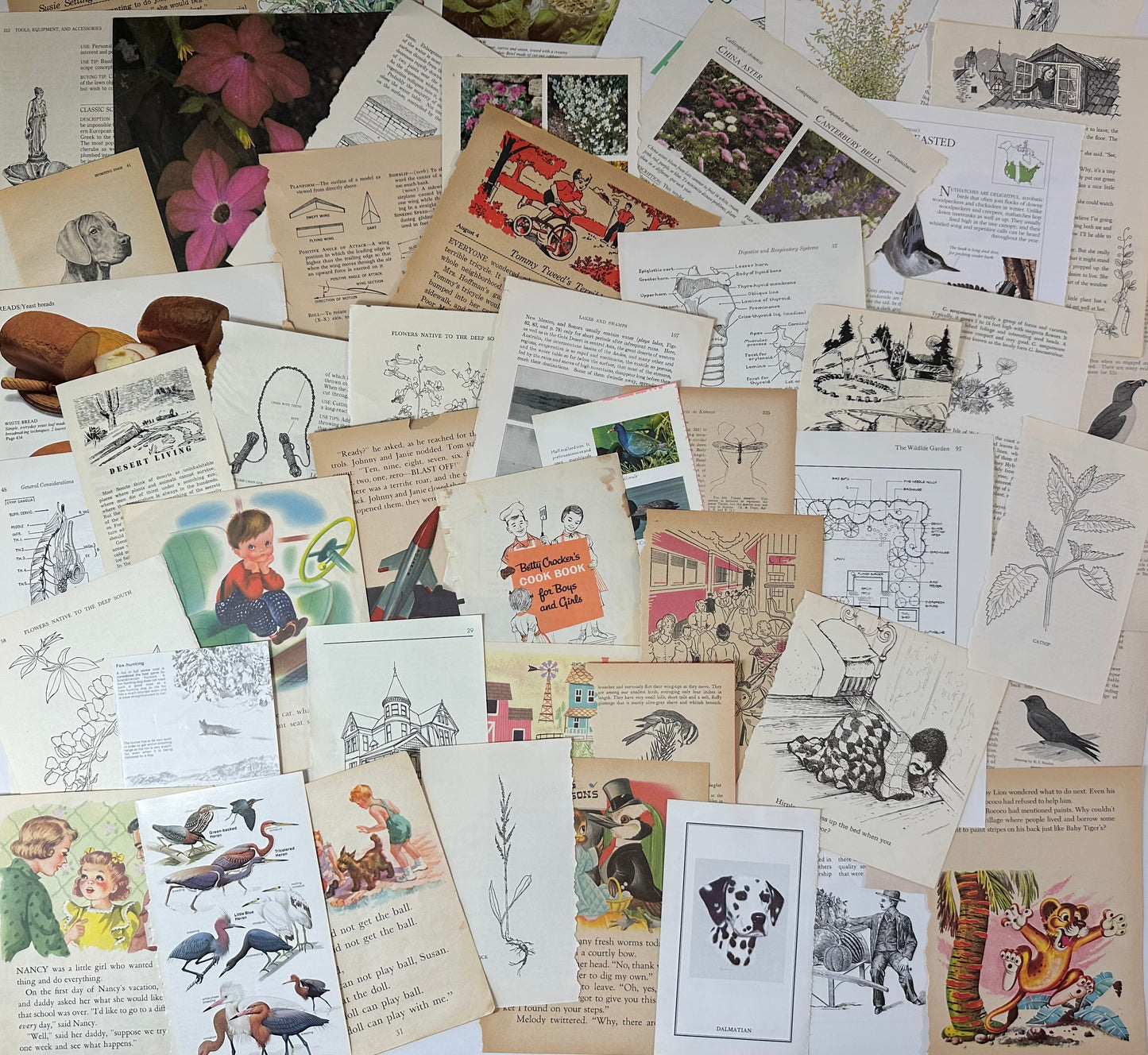 Ephemera packet 50 Illustrated Book Pages A5