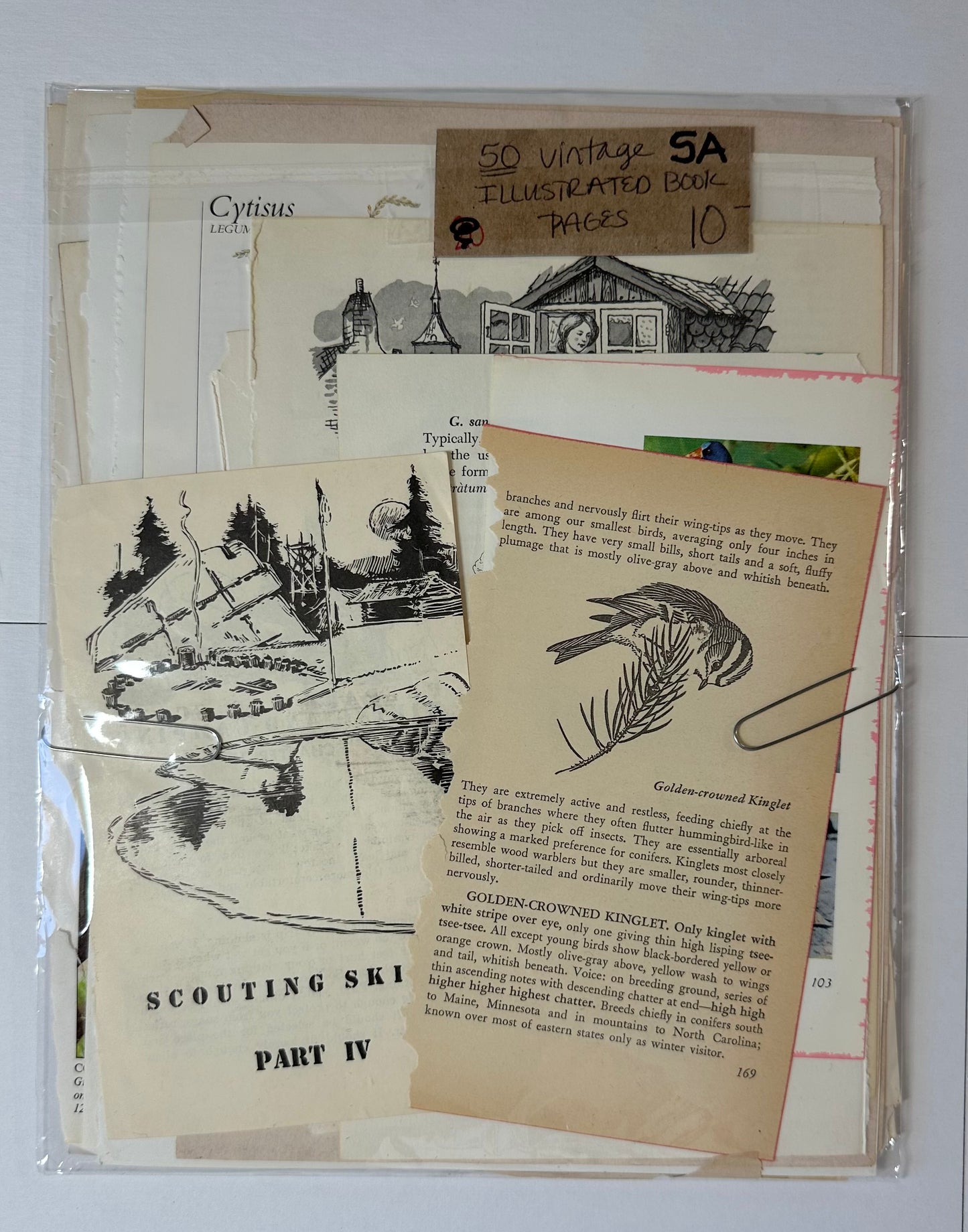 Ephemera packet 50 Illustrated Book Pages A5