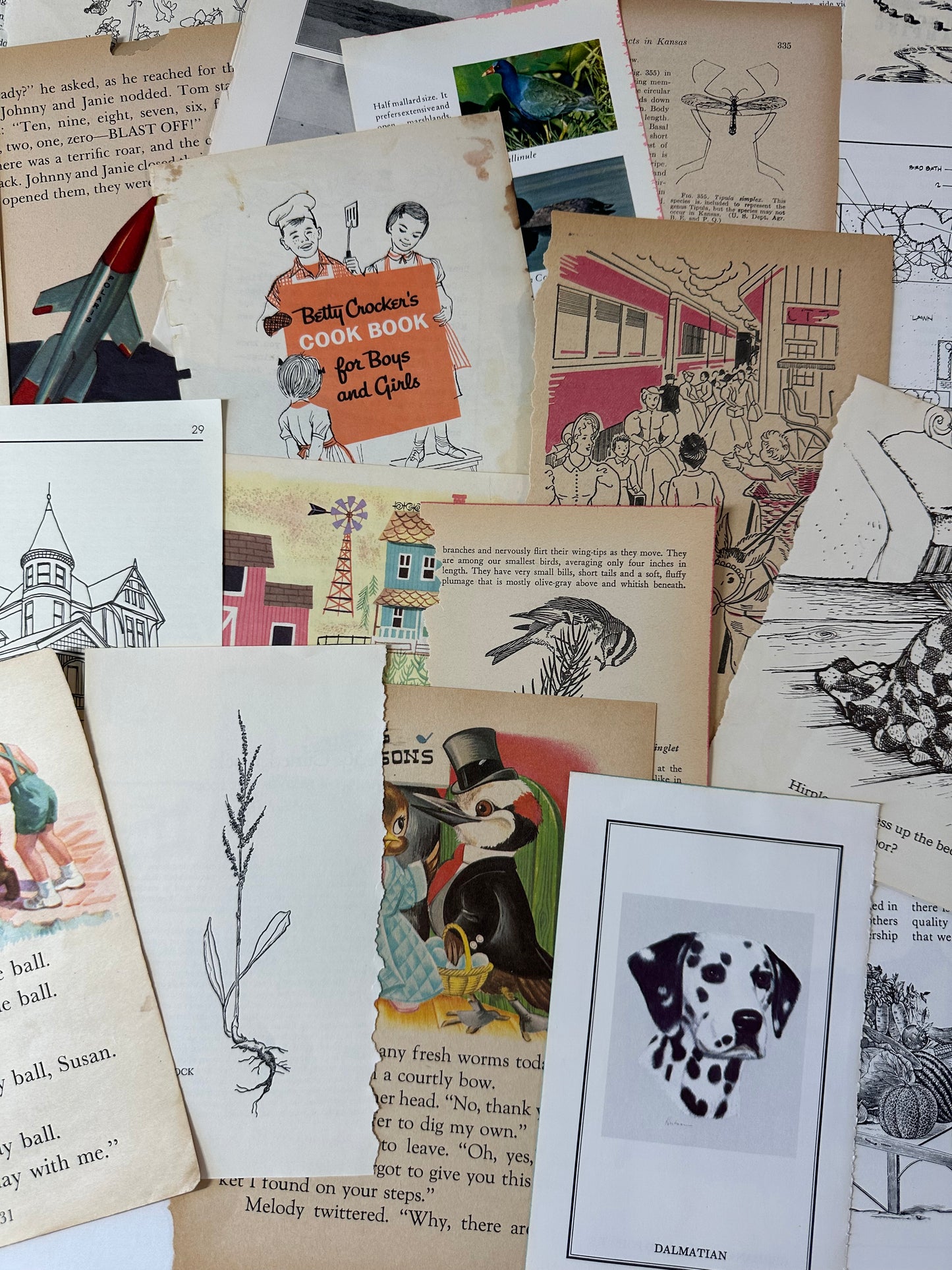 Ephemera packet 50 Illustrated Book Pages A5