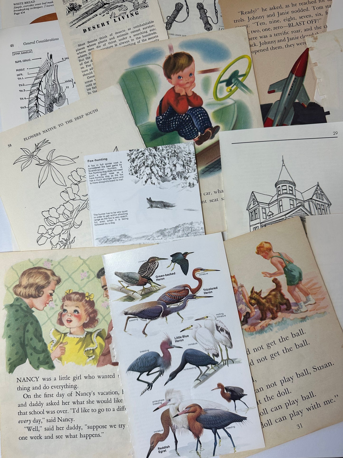 Ephemera packet 50 Illustrated Book Pages A5