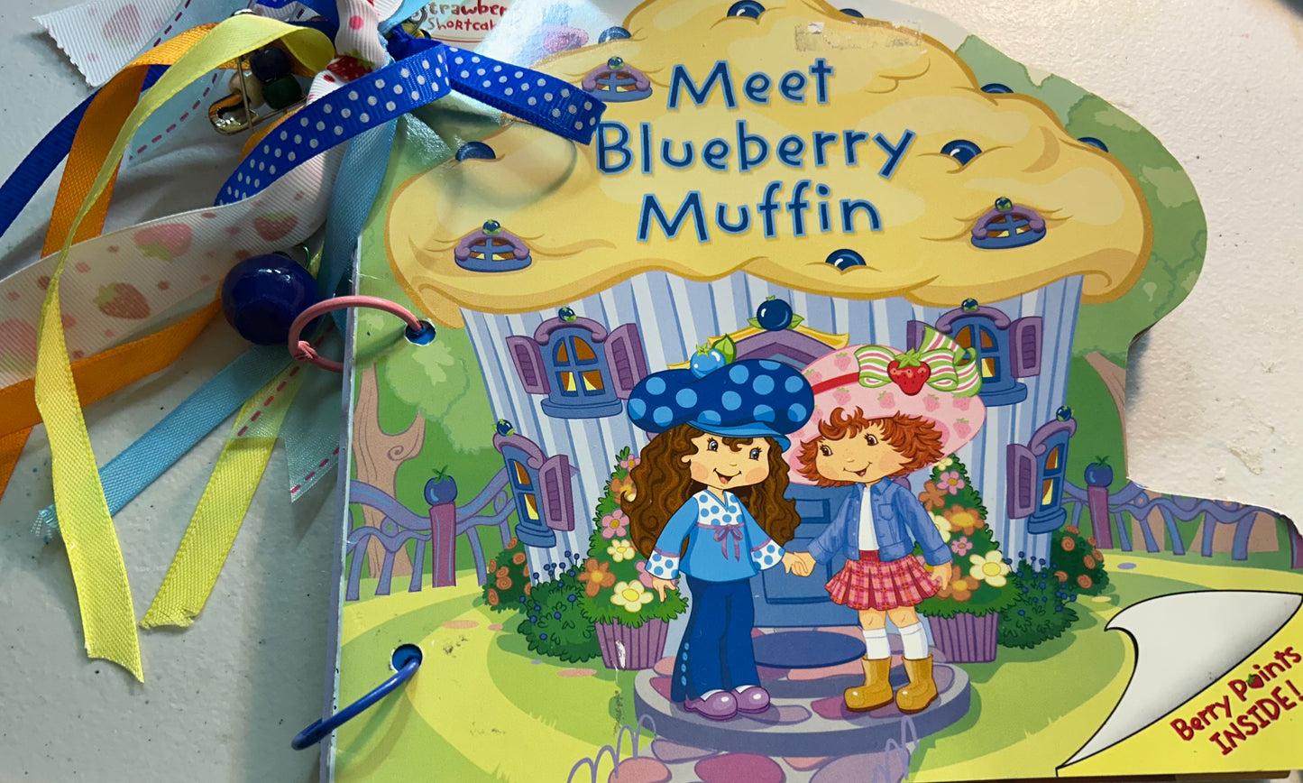Meet Blueberry Muffin book with Journal and Recipes