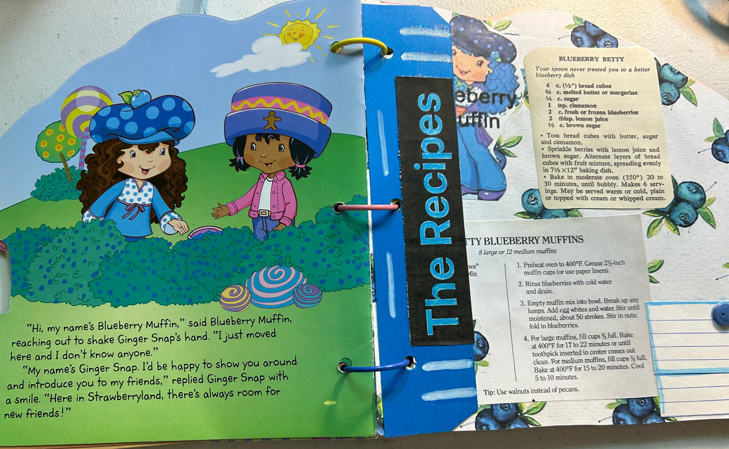 Meet Blueberry Muffin book with Journal and Recipes