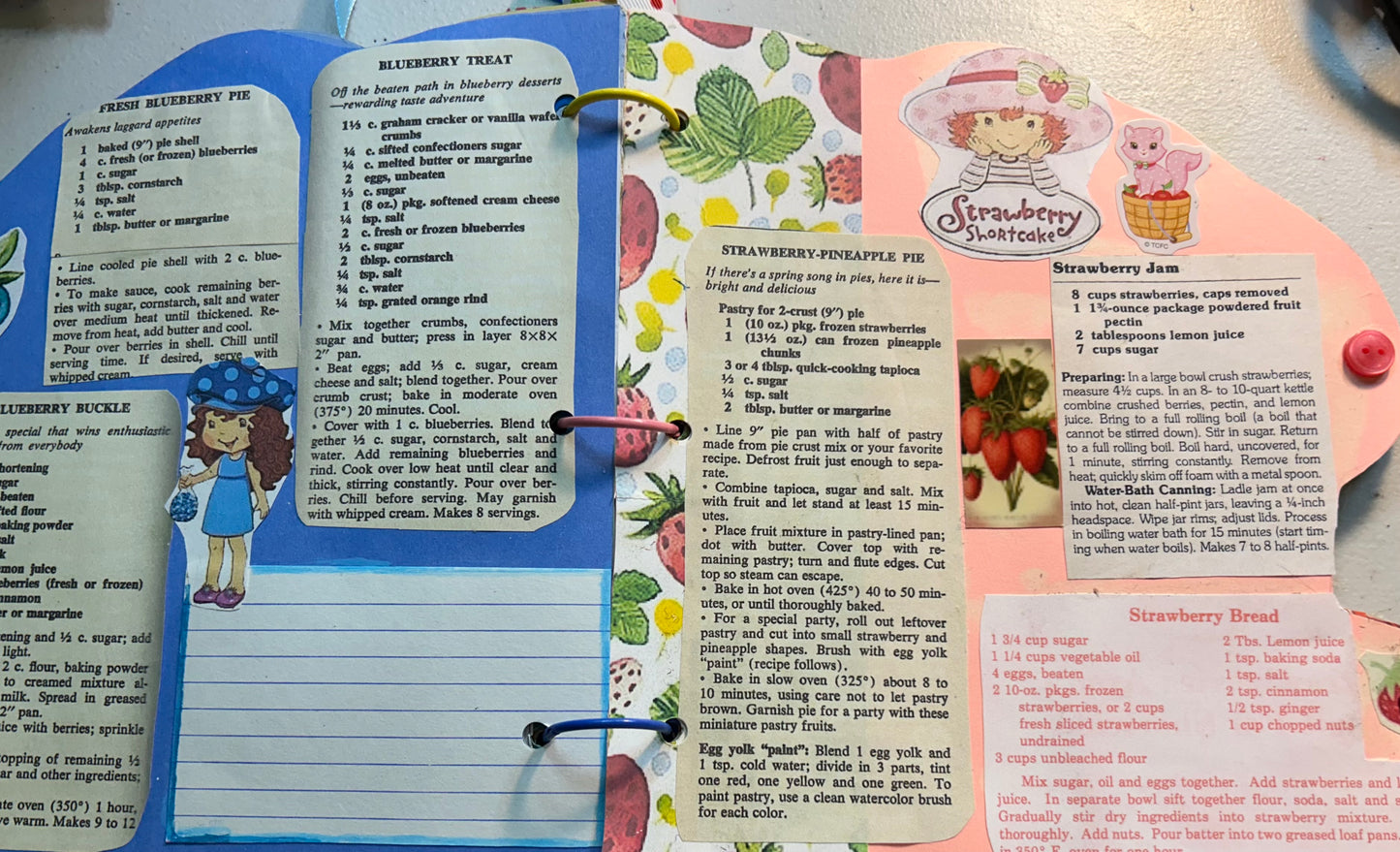 Meet Blueberry Muffin book with Journal and Recipes