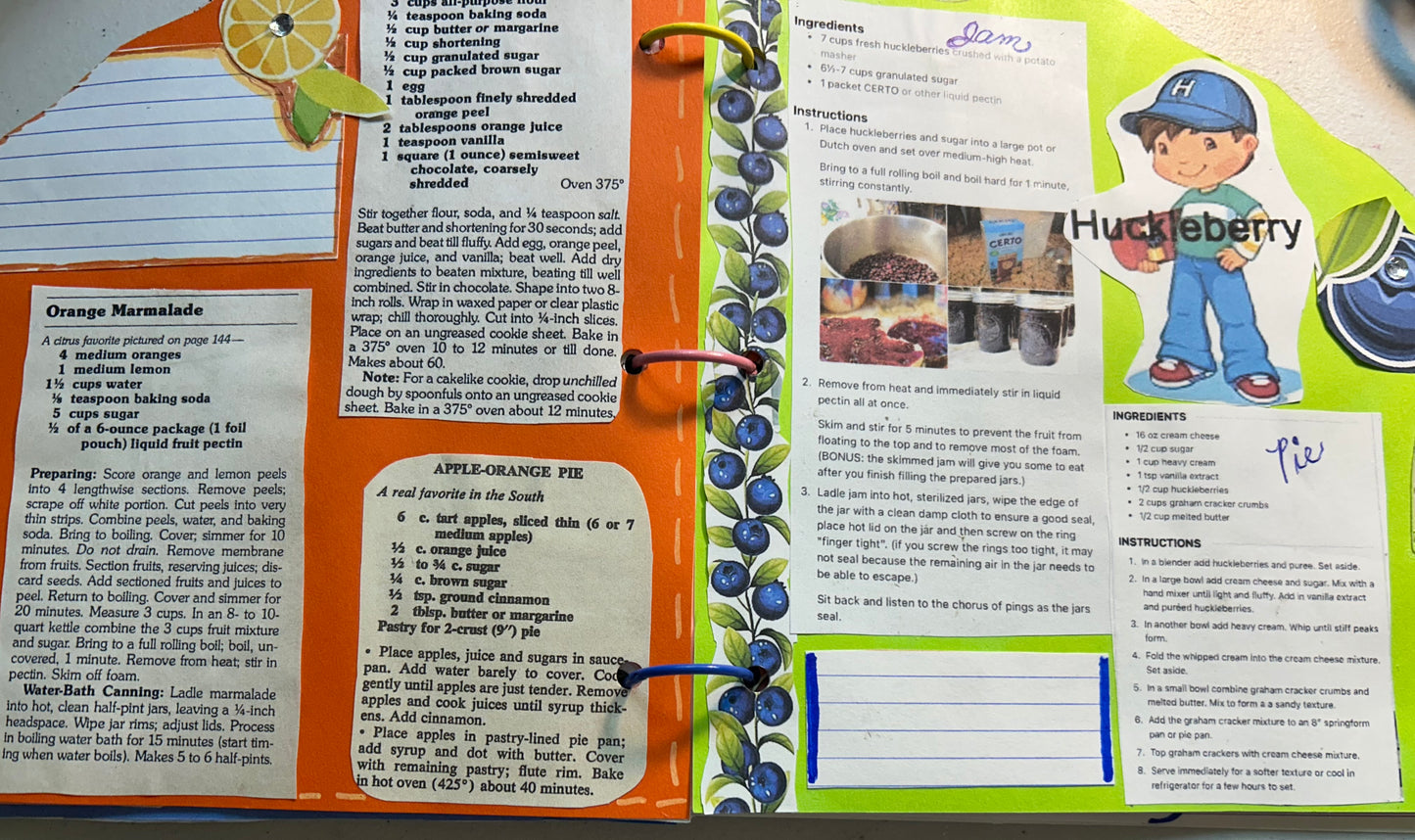 Meet Blueberry Muffin book with Journal and Recipes