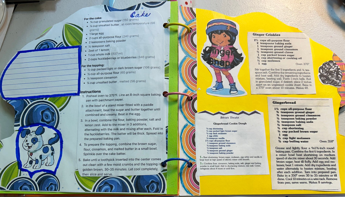 Meet Blueberry Muffin book with Journal and Recipes