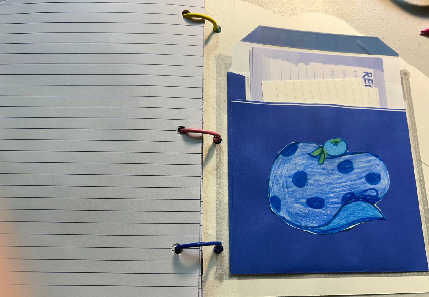 Meet Blueberry Muffin book with Journal and Recipes