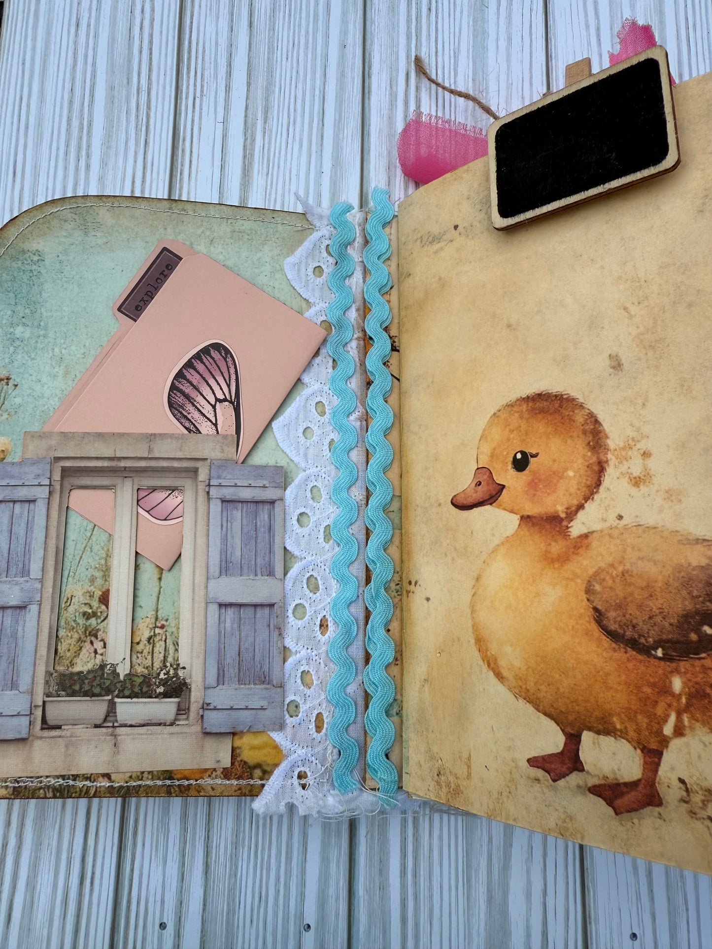 Spring Ducks and daisy journal