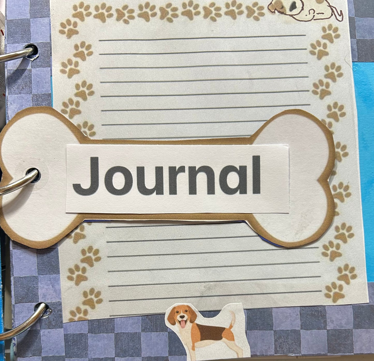 Bath For a Beagle Book and Journal