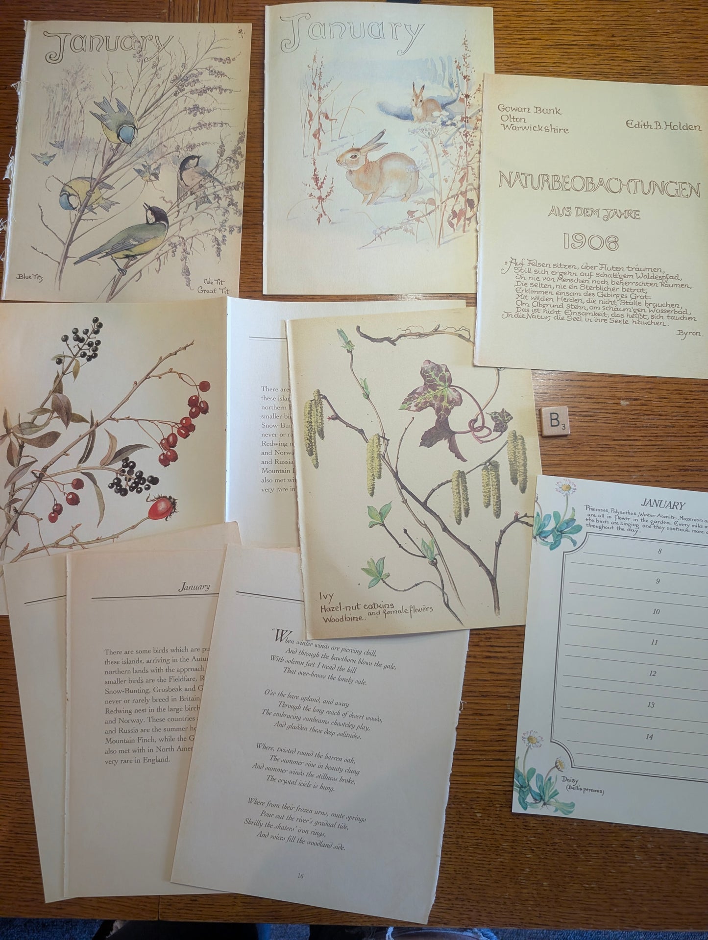 Diary of an Edwardian Lady Monthly Pages