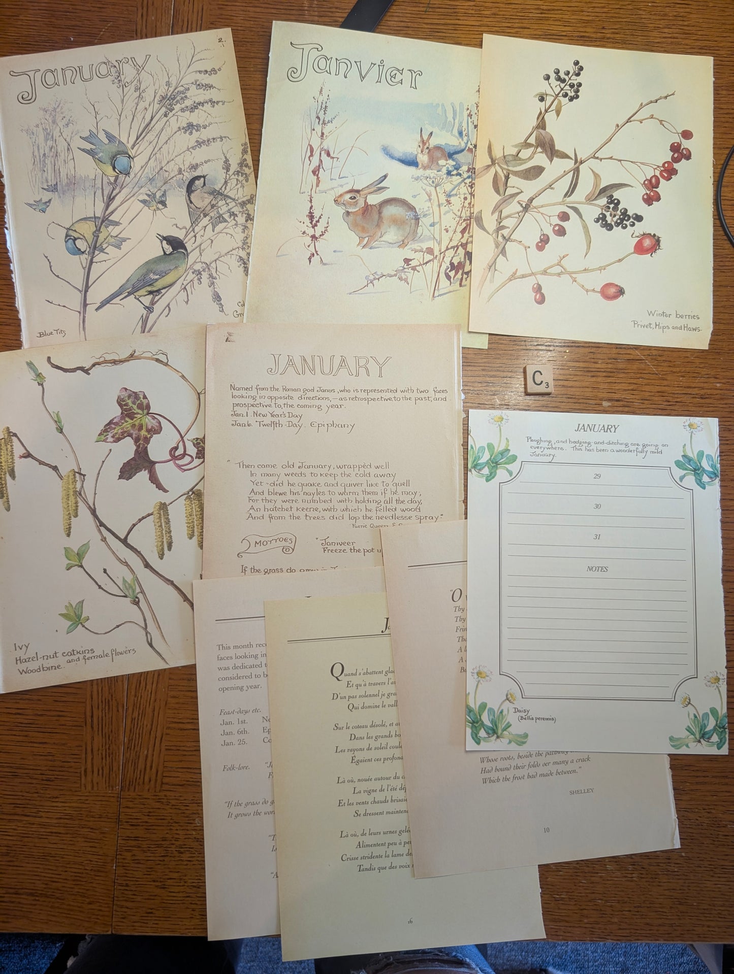 Diary of an Edwardian Lady Monthly Pages
