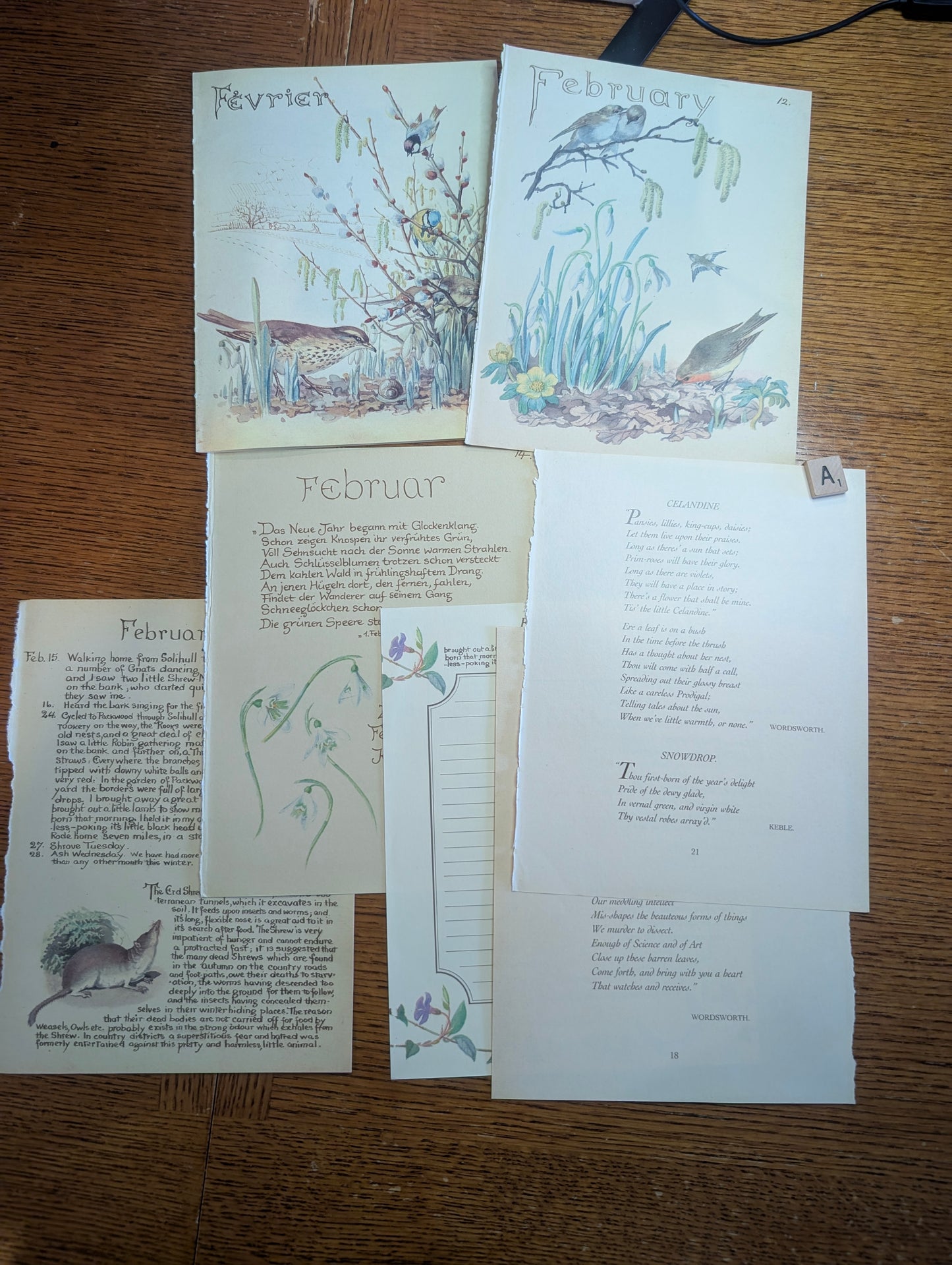 Diary of an Edwardian Lady Monthly Pages