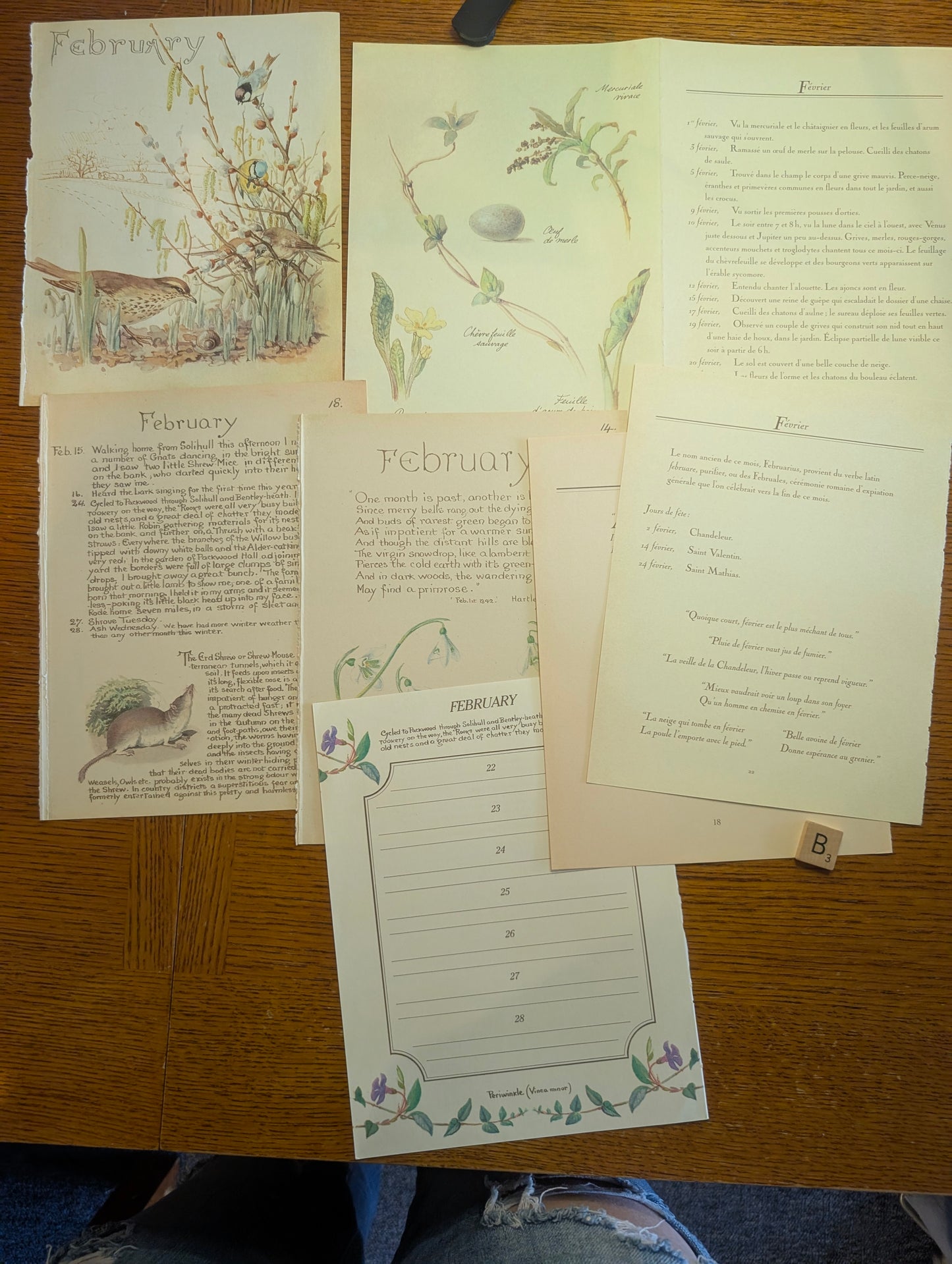 Diary of an Edwardian Lady Monthly Pages