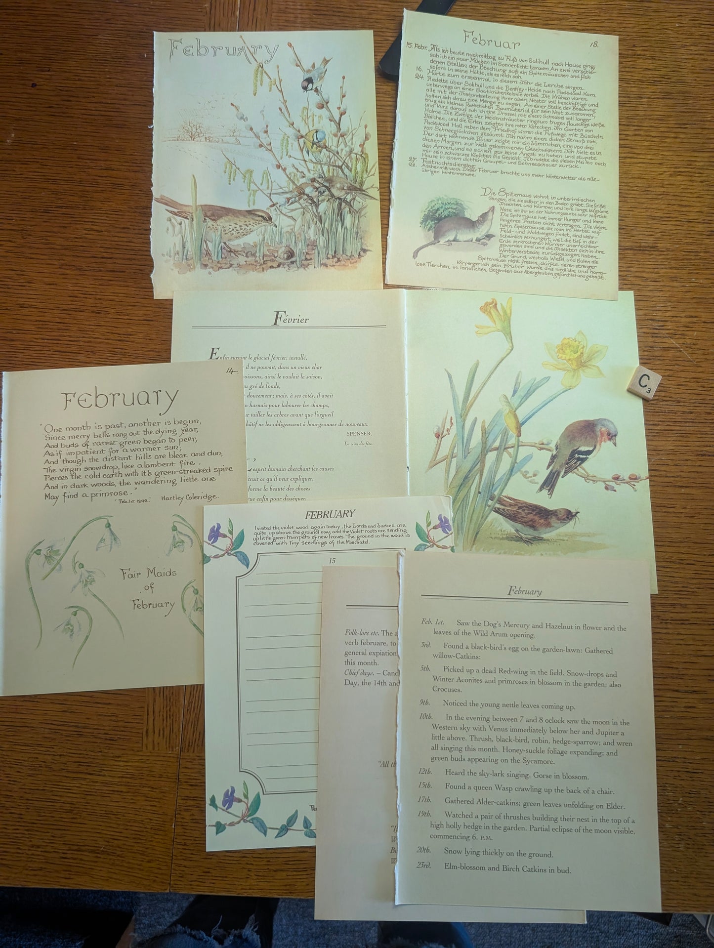 Diary of an Edwardian Lady Monthly Pages