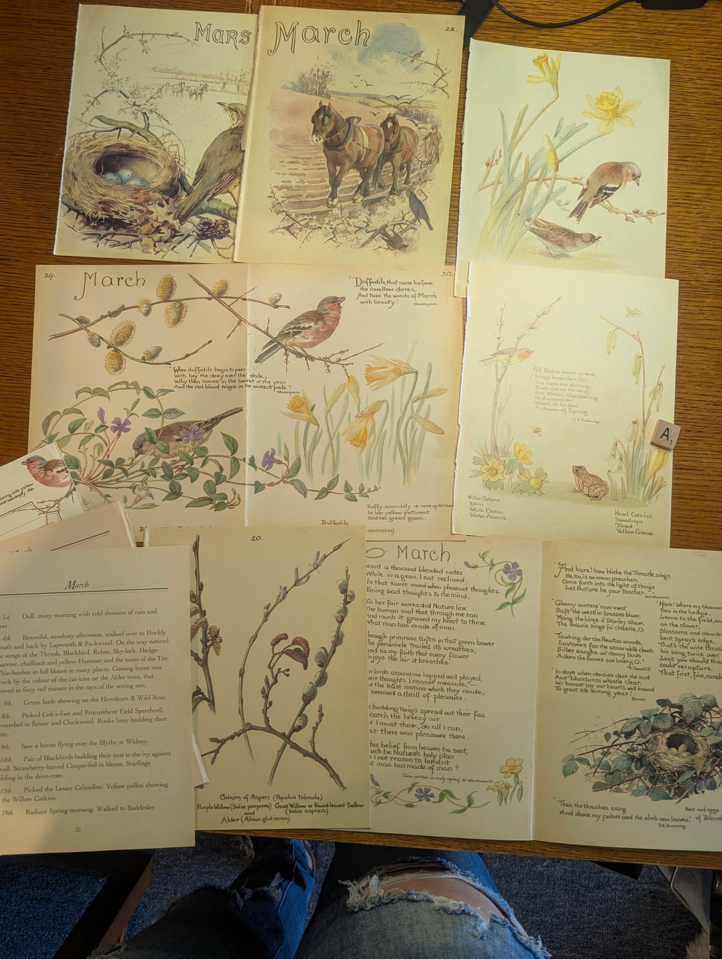 Diary of an Edwardian Lady Monthly Pages