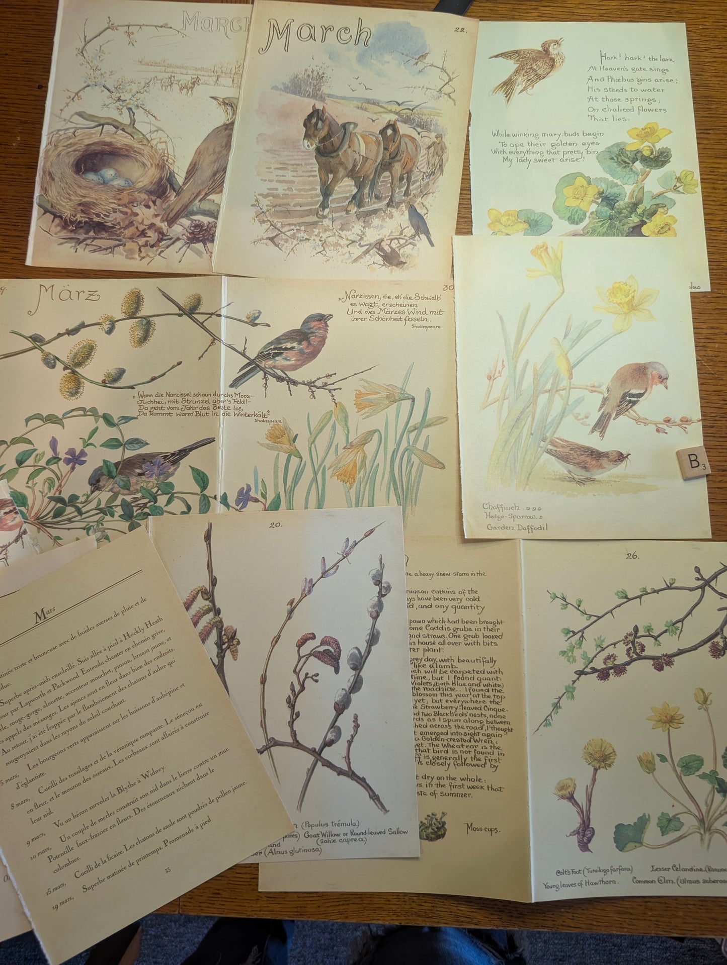 Diary of an Edwardian Lady Monthly Pages