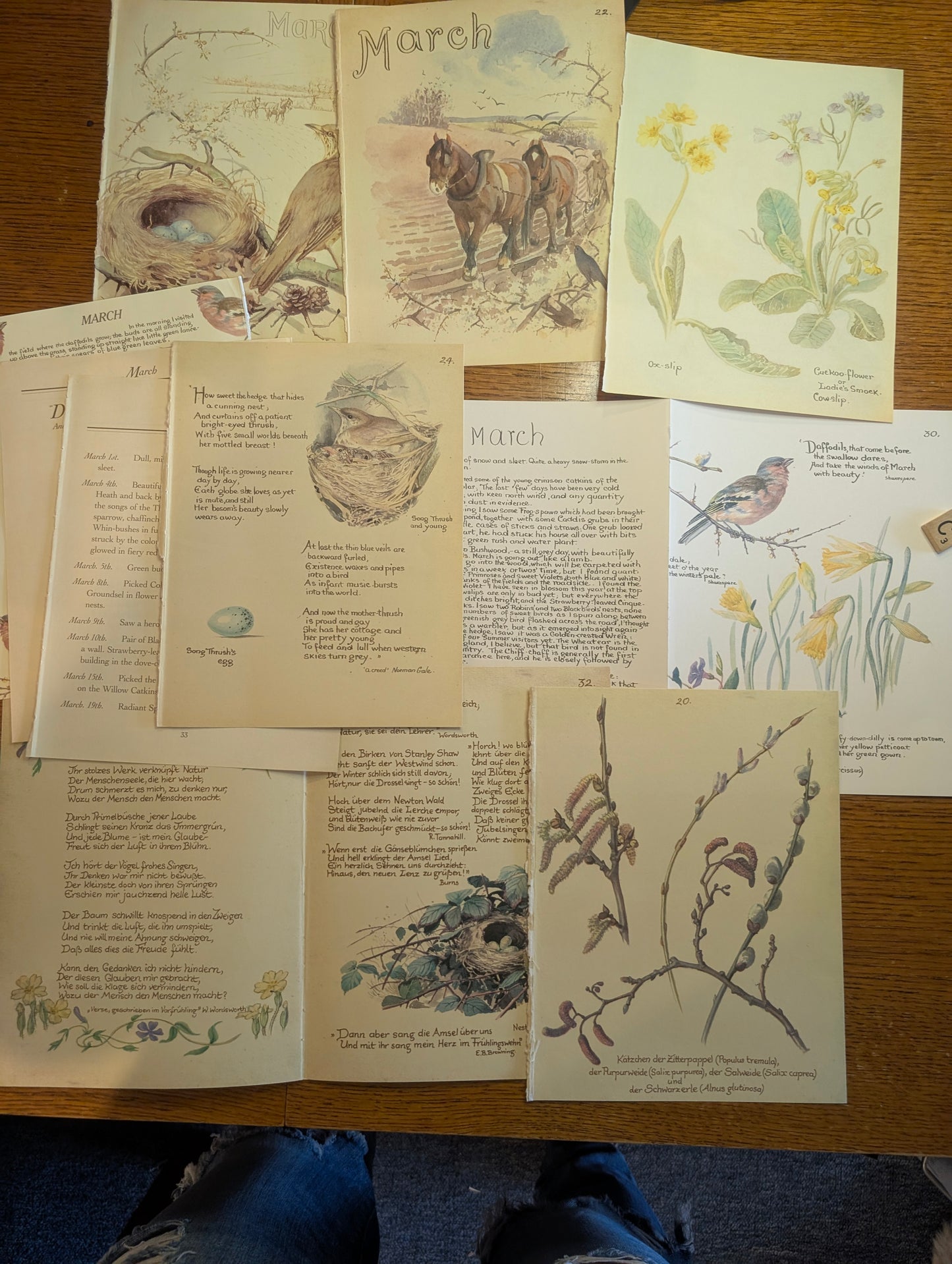 Diary of an Edwardian Lady Monthly Pages