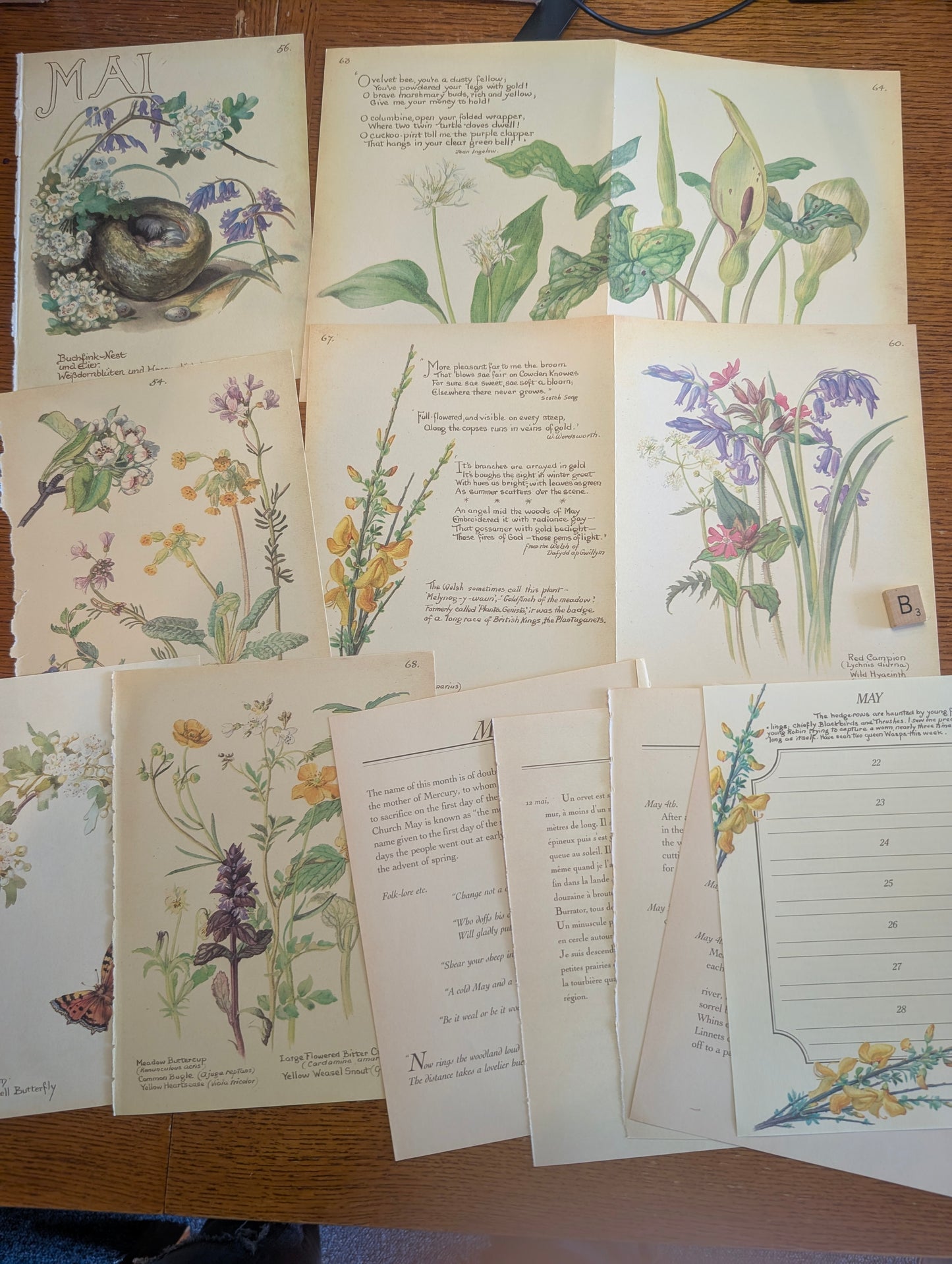 Diary of an Edwardian Lady Monthly Pages