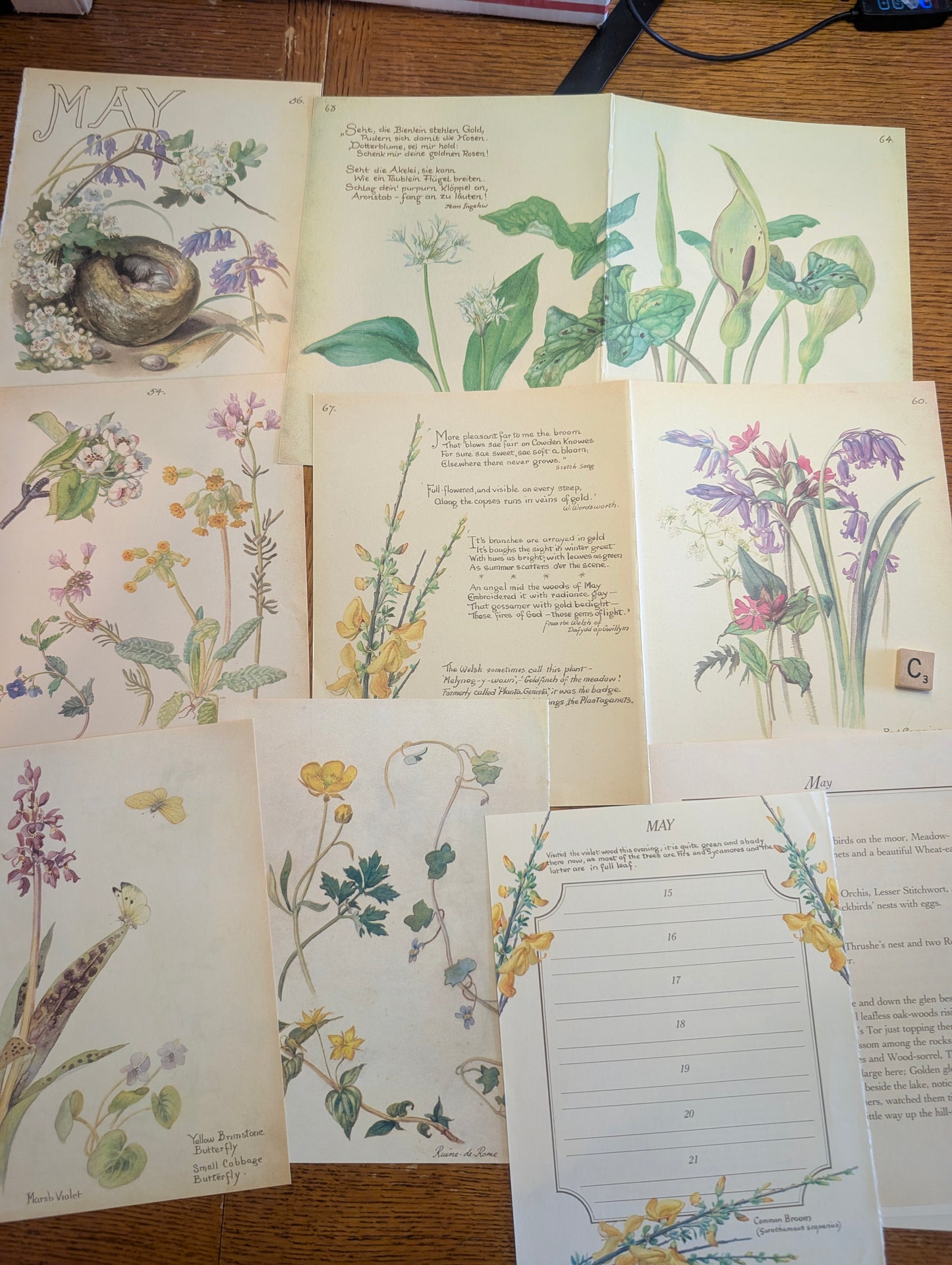 Diary of an Edwardian Lady Monthly Pages