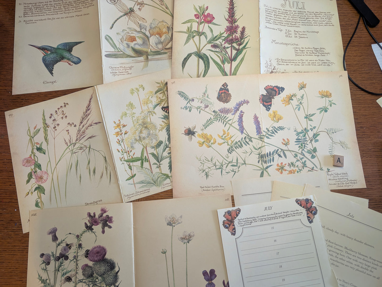 Diary of an Edwardian Lady Monthly Pages