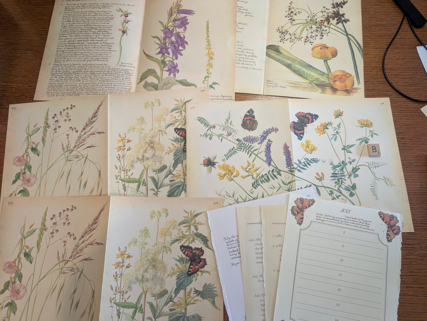 Diary of an Edwardian Lady Monthly Pages