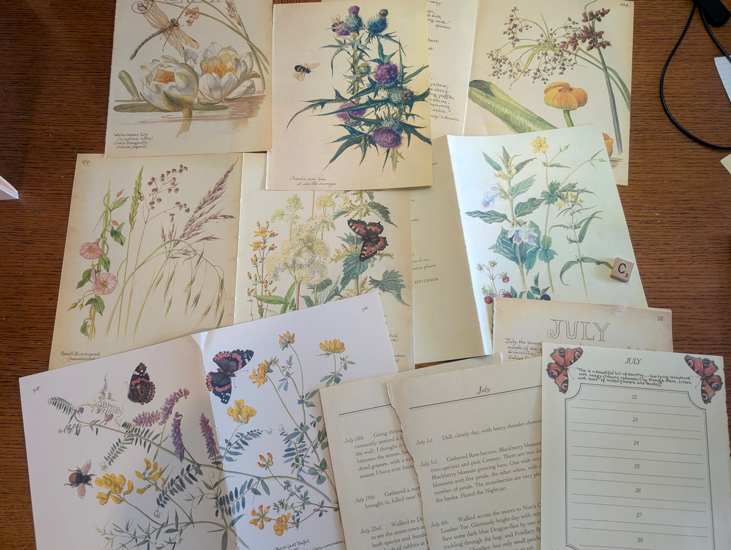Diary of an Edwardian Lady Monthly Pages