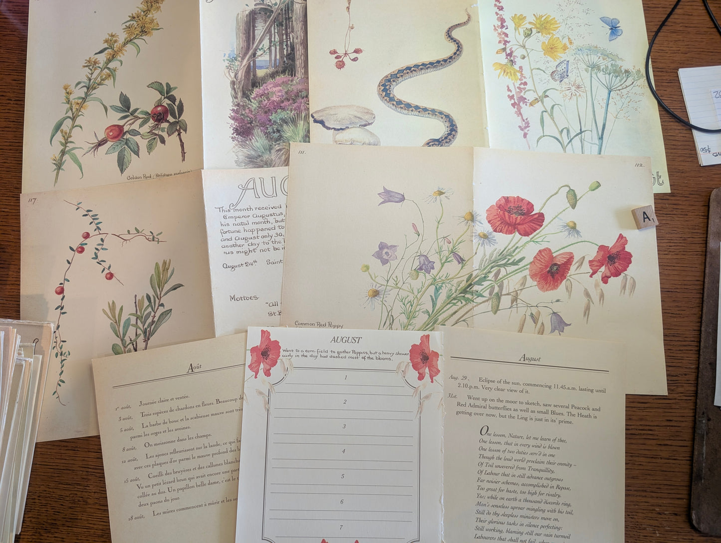 Diary of an Edwardian Lady Monthly Pages