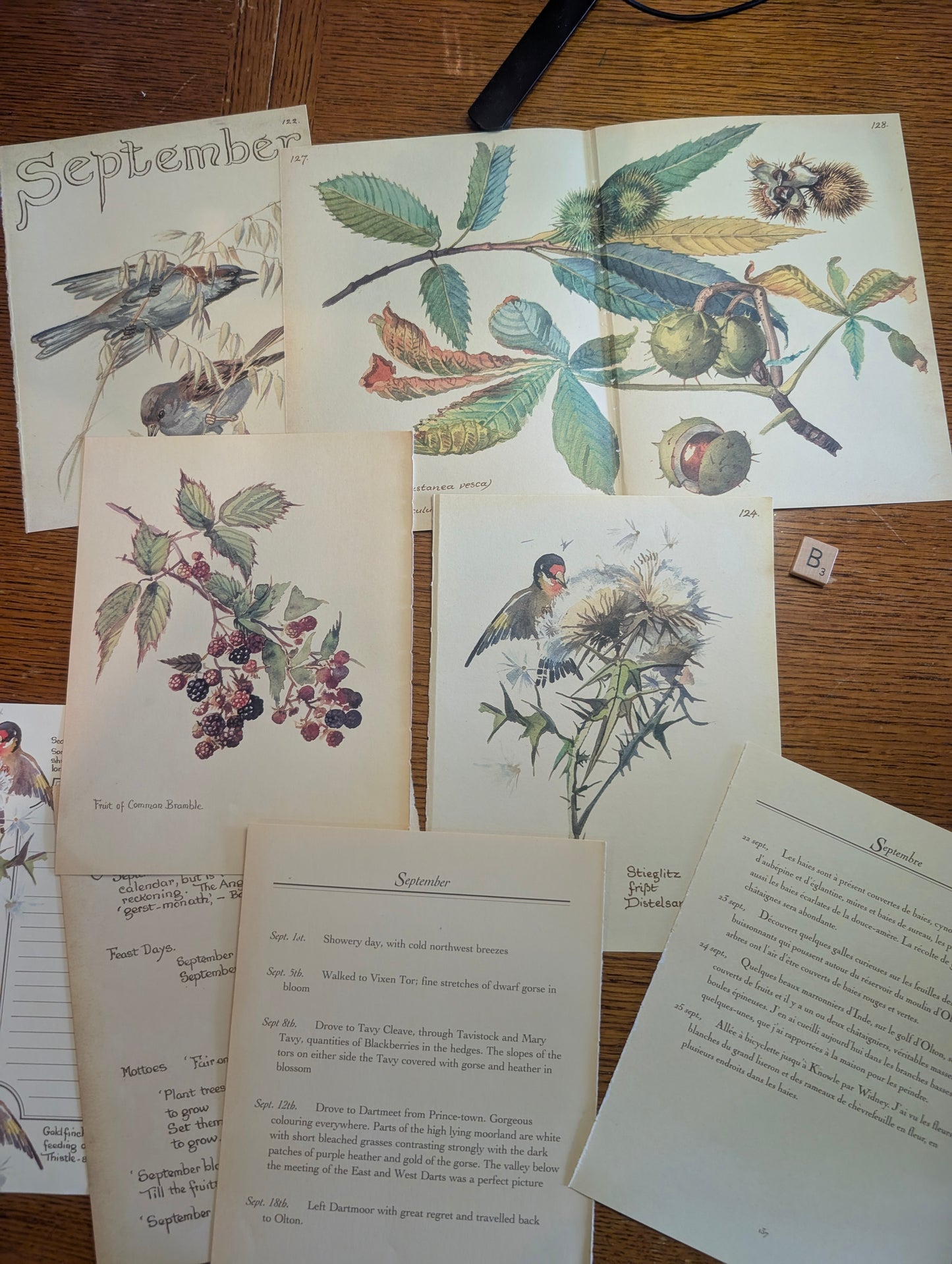Diary of an Edwardian Lady Monthly Pages