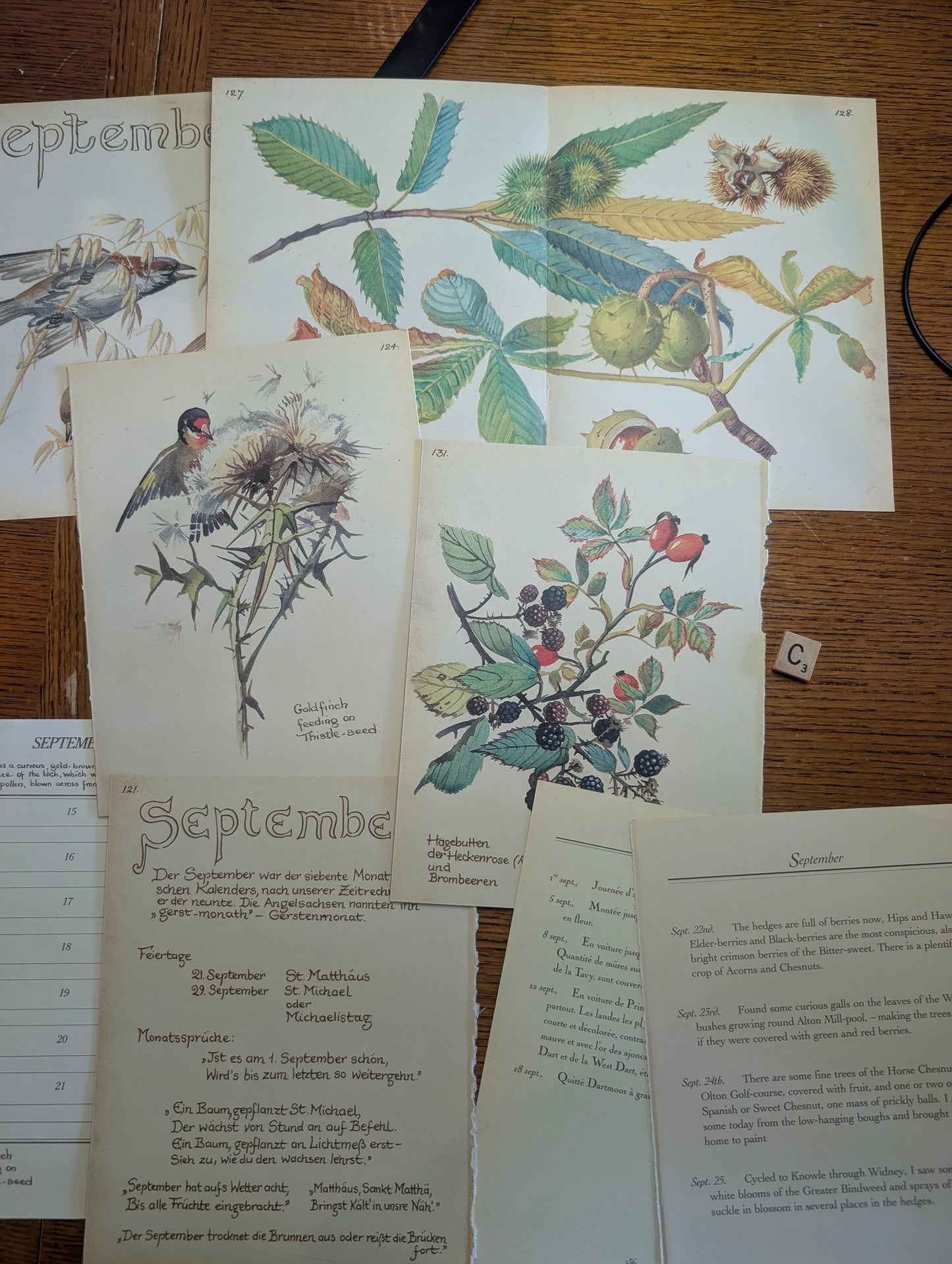 Diary of an Edwardian Lady Monthly Pages