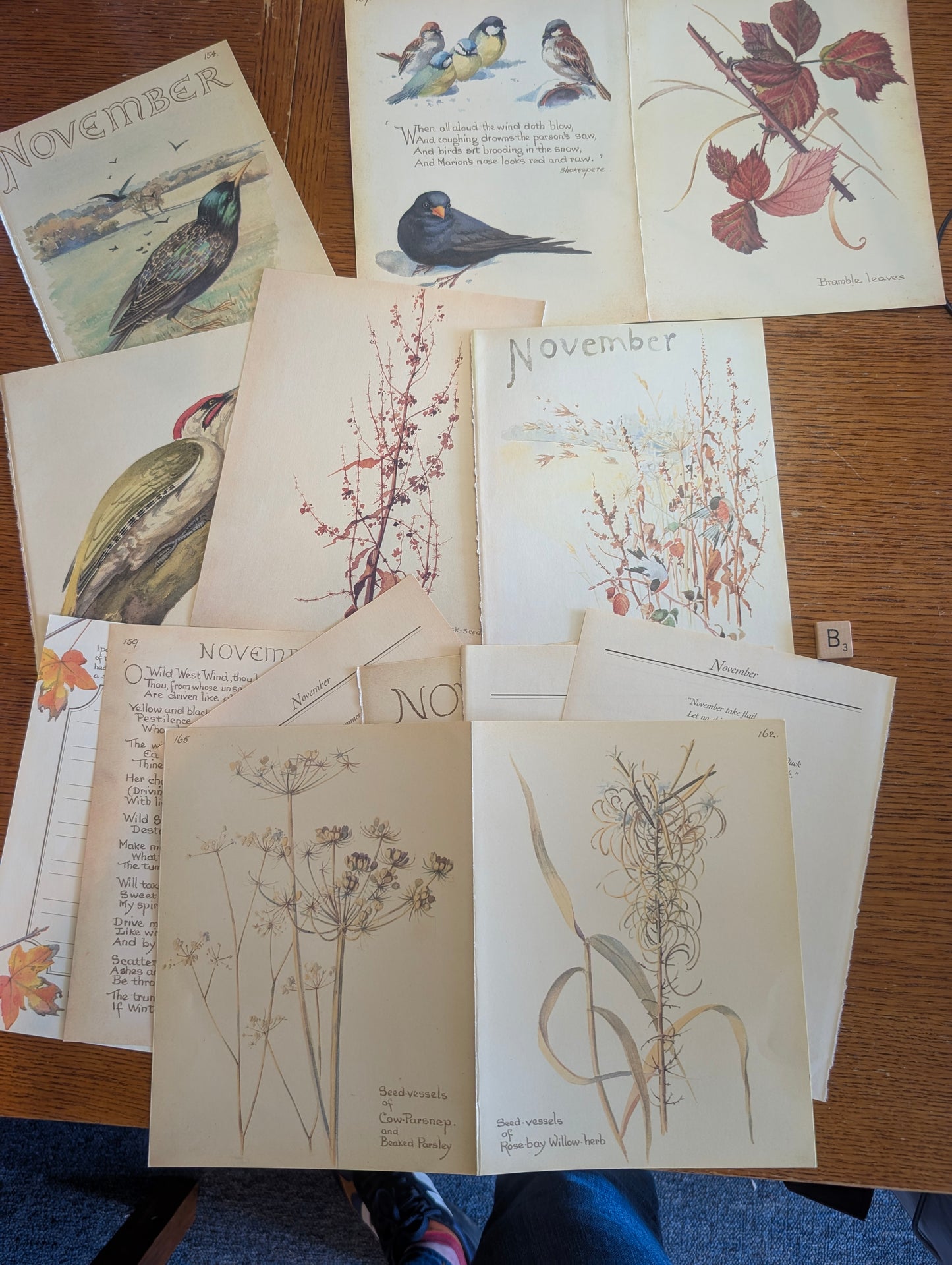 Diary of an Edwardian Lady Monthly Pages