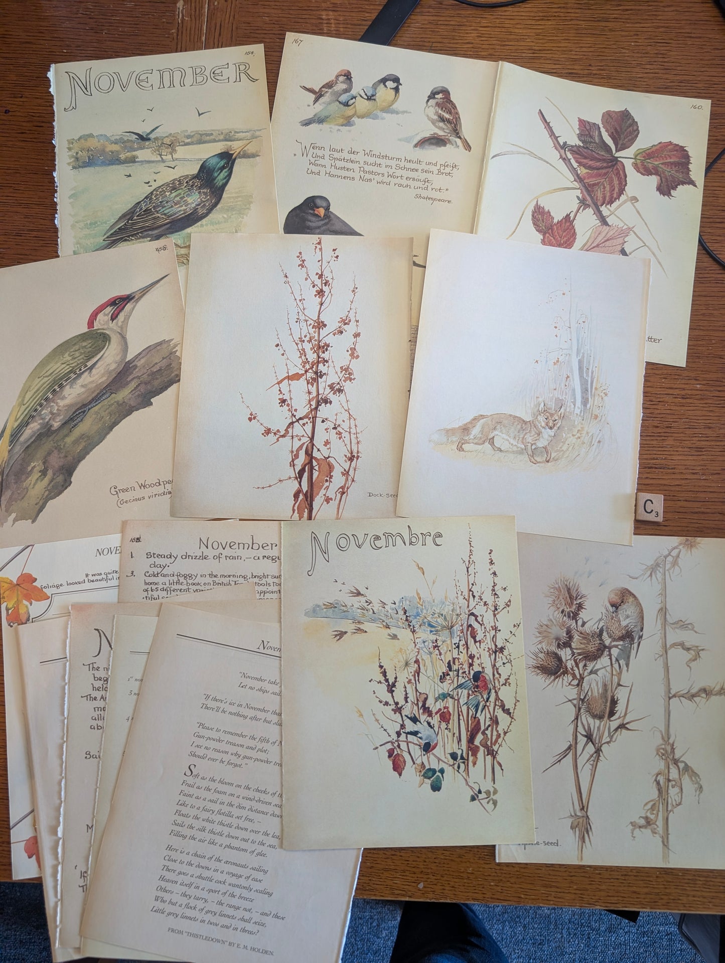 Diary of an Edwardian Lady Monthly Pages