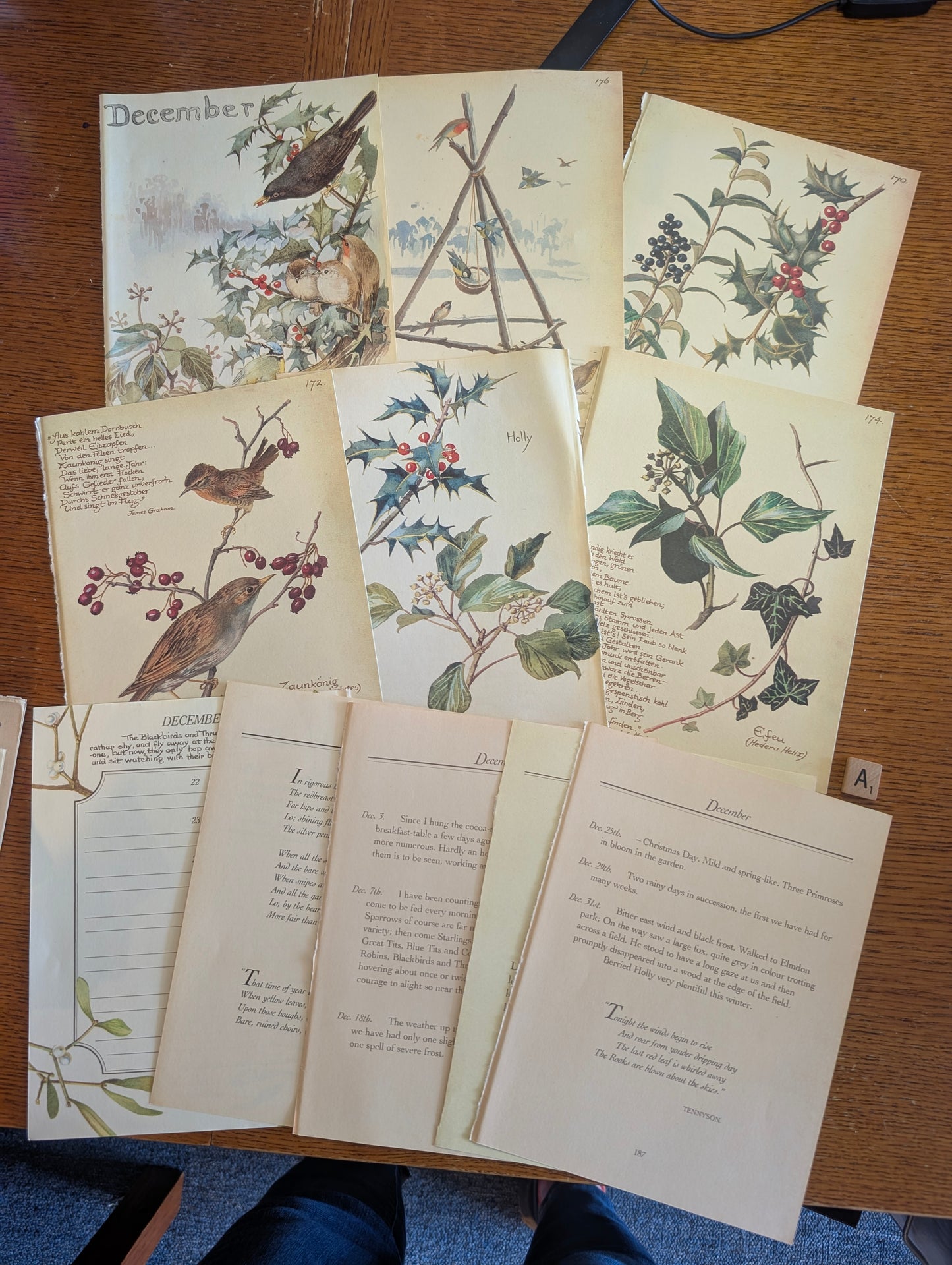 Diary of an Edwardian Lady Monthly Pages