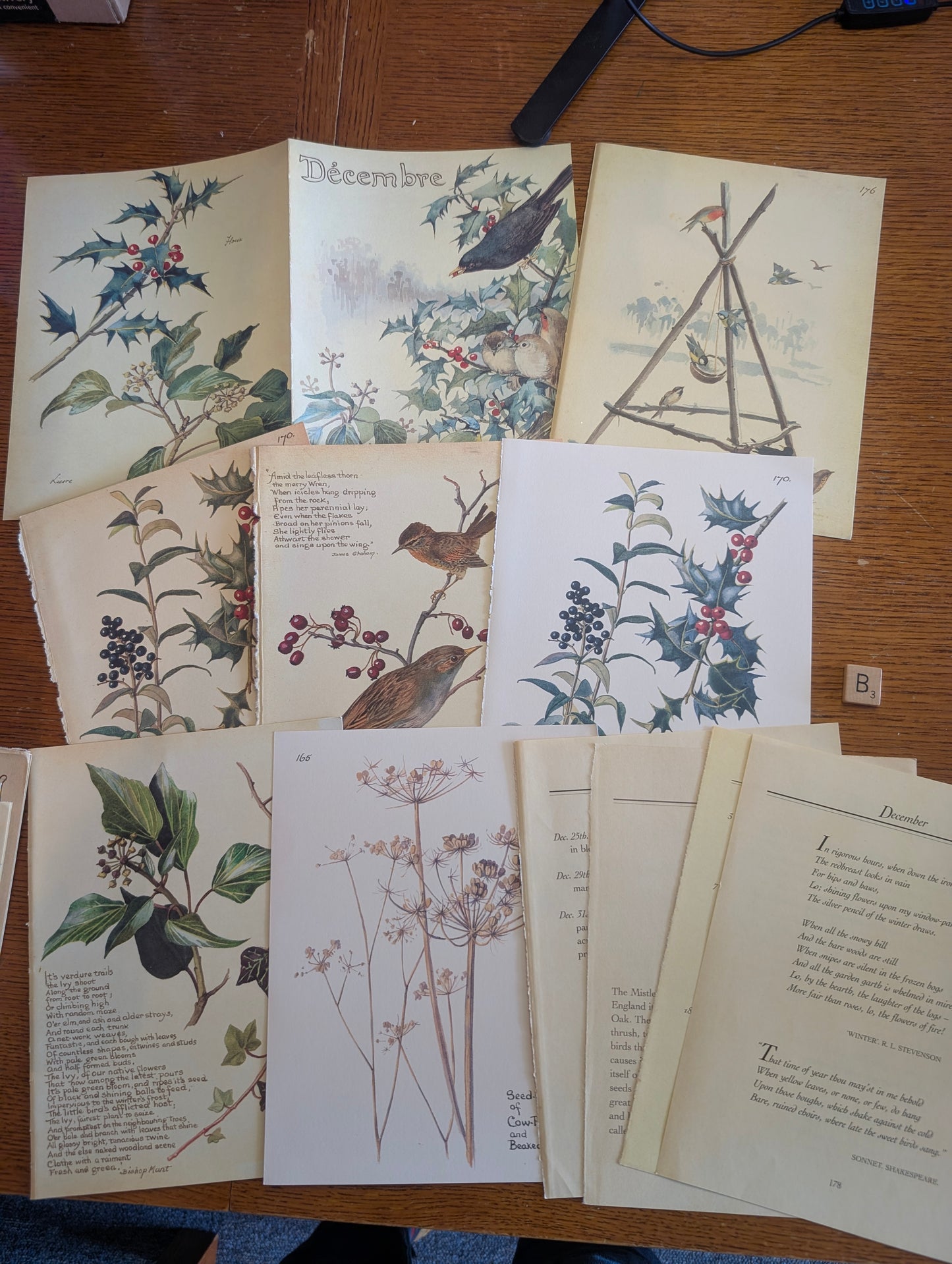 Diary of an Edwardian Lady Monthly Pages