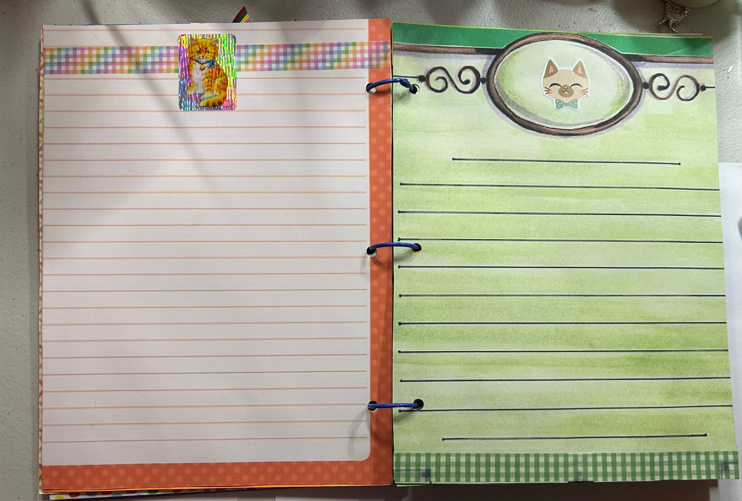 The Mischievous Kitty Cat- El Gatito Travioso Story, Journal and Recipes