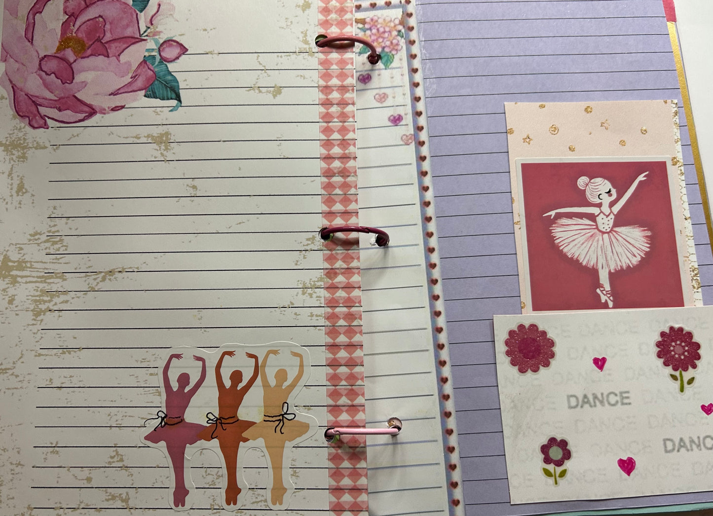 Nina, Nina Ballerina journal