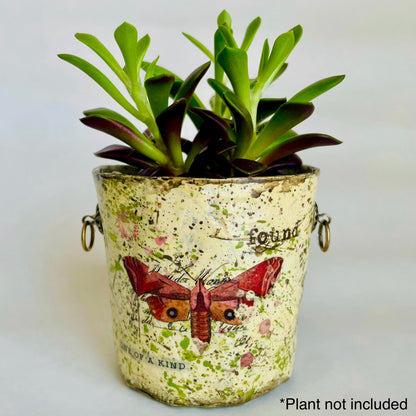 Paper Maché Pot / Decoupage / Entomology / Vintage Inspired