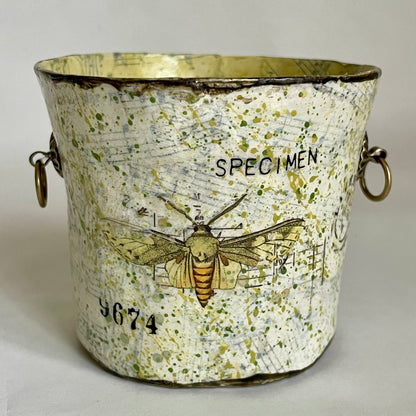 Paper Maché Pot / Decoupage / Vintage Inspired / Entomology