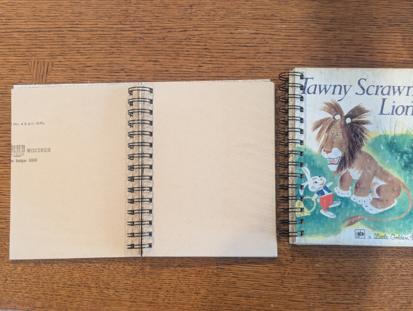 Blank Substrate Notebooks (repurposed)