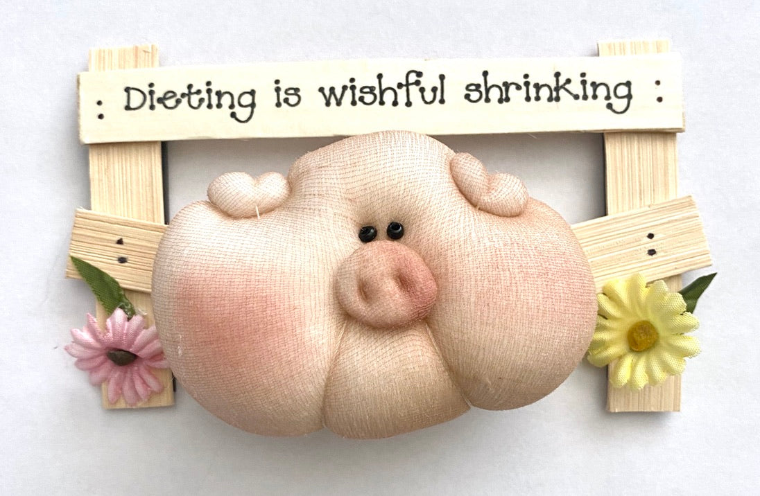 Diet Piggy Fridge Magnets