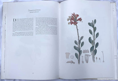 Vintage Book "A Treasury of Flowers" by Frank J. Anderson / New York Botanical Garden