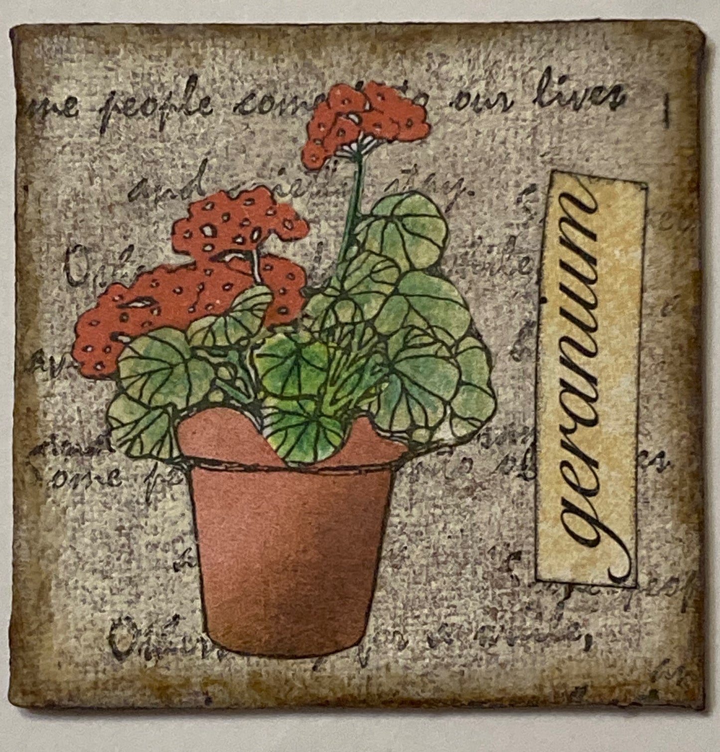 Mixed Media Geranium Magnet beige background