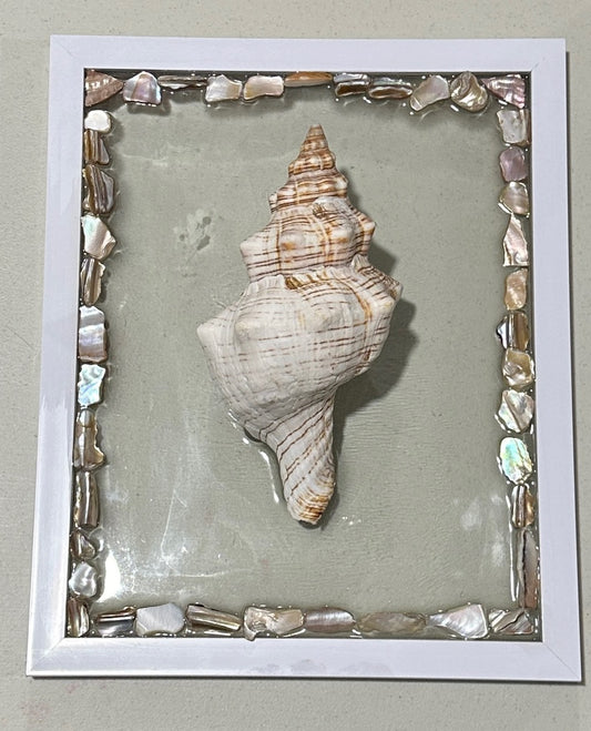 Resin Shell Art