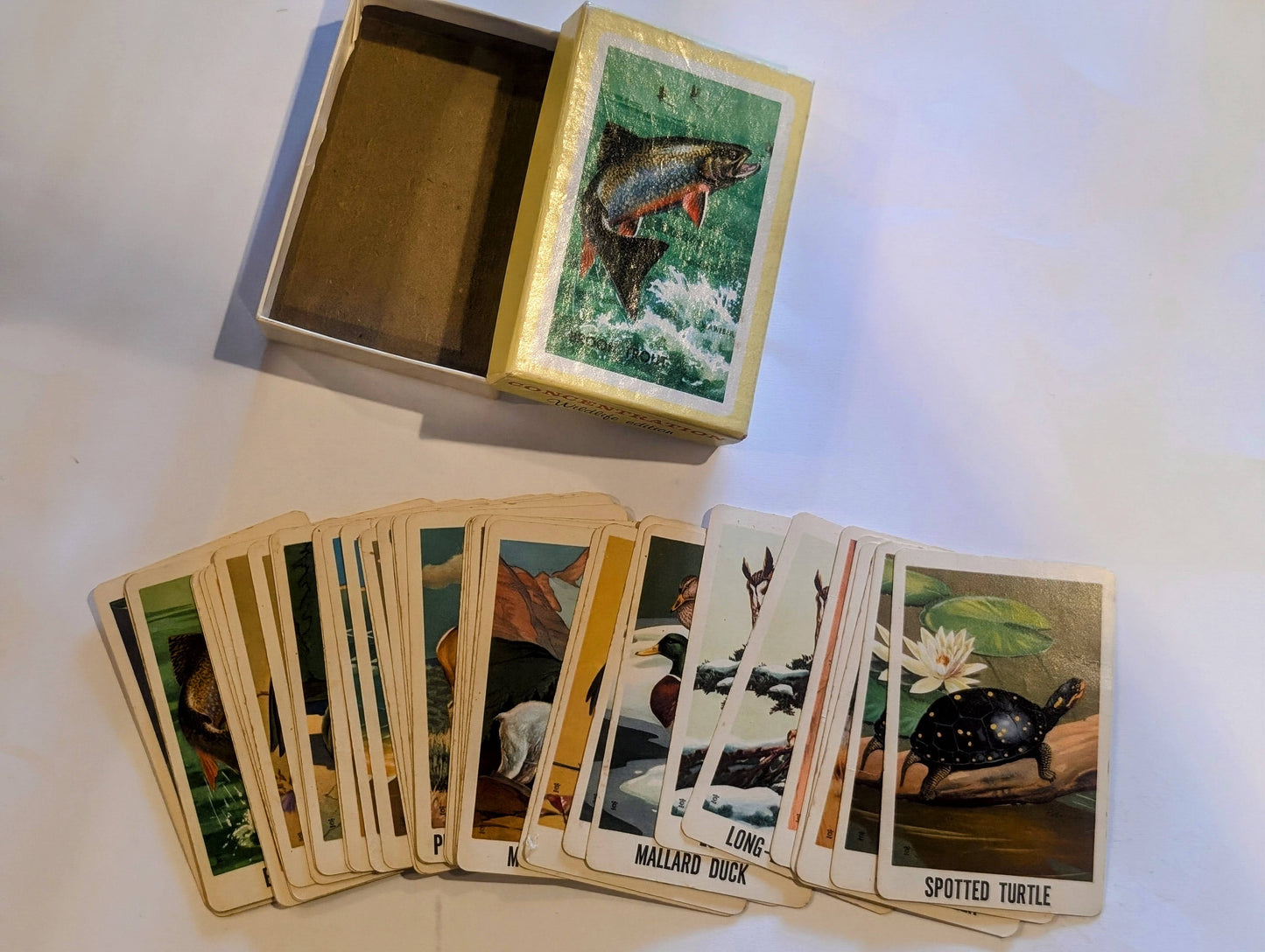 Vintage Wildlife Edition Concentration card game