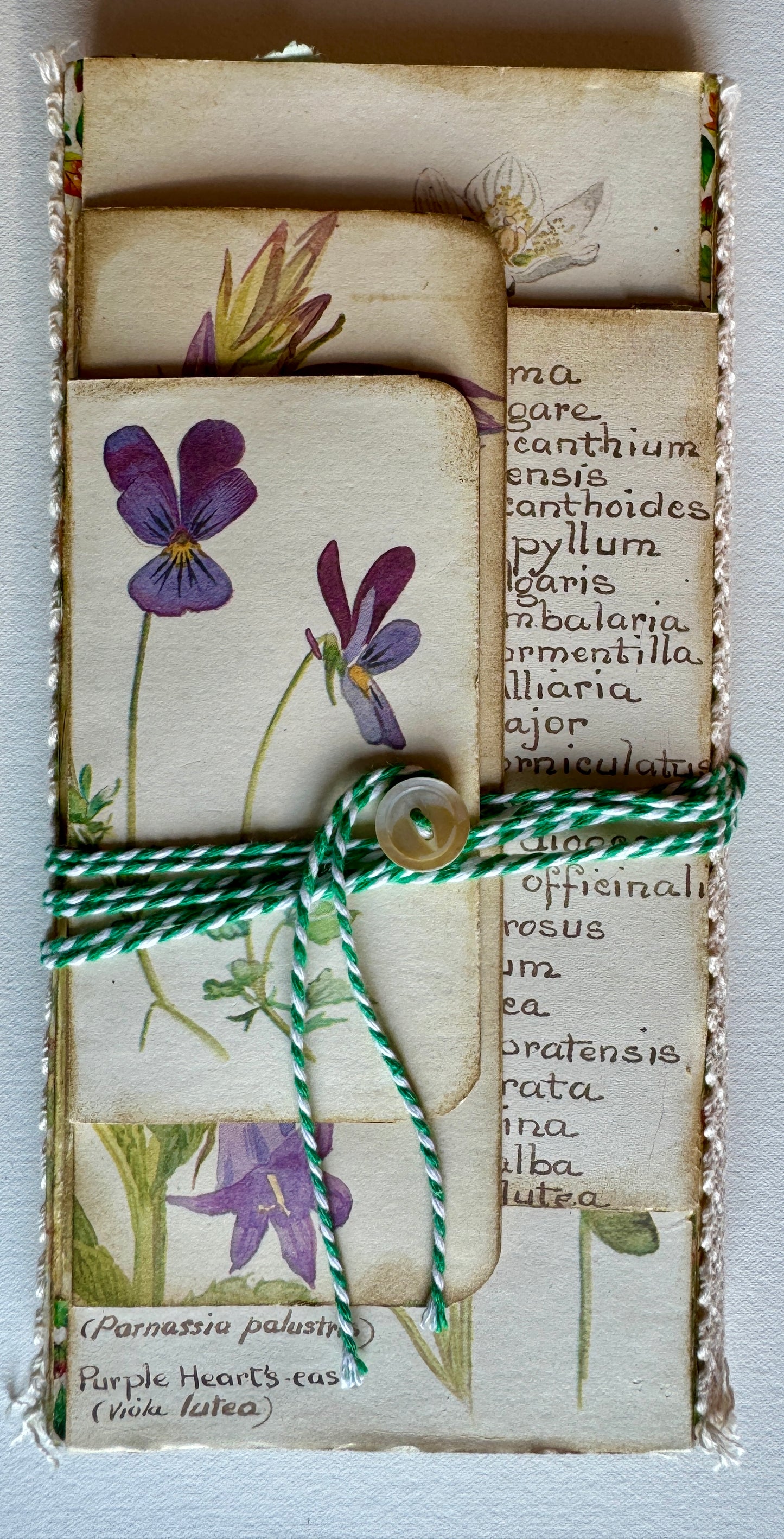 Flip Flop Folio Journal, made with Edith Holden book pages